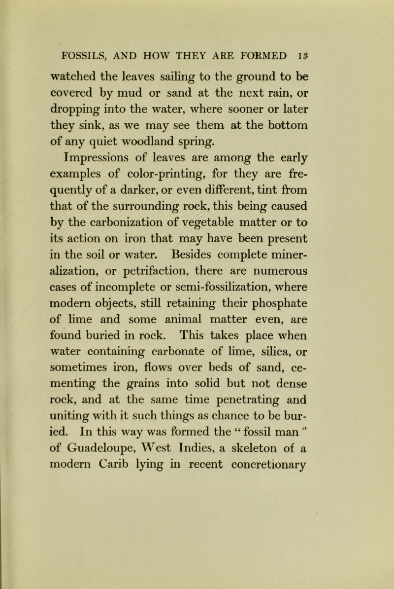 watched the leaves sailing to the ground to be covered by mud or sand at the next rain, or dropping into the water, where sooner or later they sink, as we may see them at the bottom of any quiet woodland spring. Impressions of leaves are among the early examples of color-printing, for they are fre- quently of a darker, or even different, tint from that of the surrounding rock, this being caused by the carbonization of vegetable matter or to its action on iron that may have been present in the soil or water. Besides complete miner- alization, or petrifaction, there are numerous cases of incomplete or semi-fossilization, where modern objects, still retaining their phosphate of lime and some animal matter even, are found buried in rock. This takes place when water containing carbonate of lime, silica, or sometimes iron, flows over beds of sand, ce- menting the grains into solid but not dense rock, and at the same time penetrating and uniting with it such things as chance to be bur- ied. In this way was formed the “ fossil man of Guadeloupe, West Indies, a skeleton of a modern Carib lying in recent concretionary