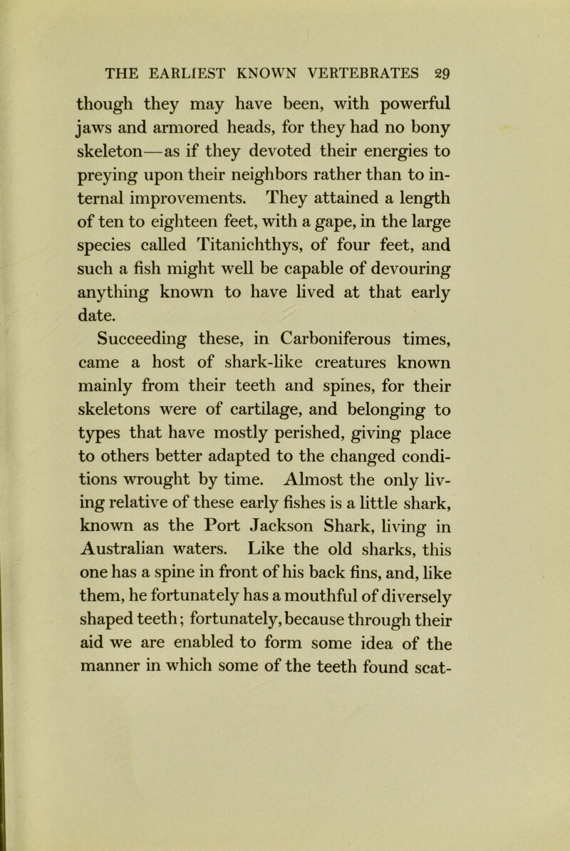 though they may have been, with powerful jaws and armored heads, for they had no bony skeleton—as if they devoted their energies to preying upon their neighbors rather than to in- ternal improvements. They attained a length of ten to eighteen feet, with a gape, in the large species called Titanichthys, of four feet, and such a fish might well be capable of devouring anything known to have lived at that early date. Succeeding these, in Carboniferous times, came a host of shark-like creatures known mainly from their teeth and spines, for their skeletons were of cartilage, and belonging to types that have mostly perished, giving place to others better adapted to the changed condi- tions wrought by time. Almost the only liv- ing relative of these early fishes is a little shark, known as the Port Jackson Shark, living in Australian waters. Like the old sharks, this one has a spine in front of his back fins, and, like them, he fortunately has a mouthful of diversely shaped teeth; fortunately, because through their aid we are enabled to form some idea of the manner in which some of the teeth found scat-