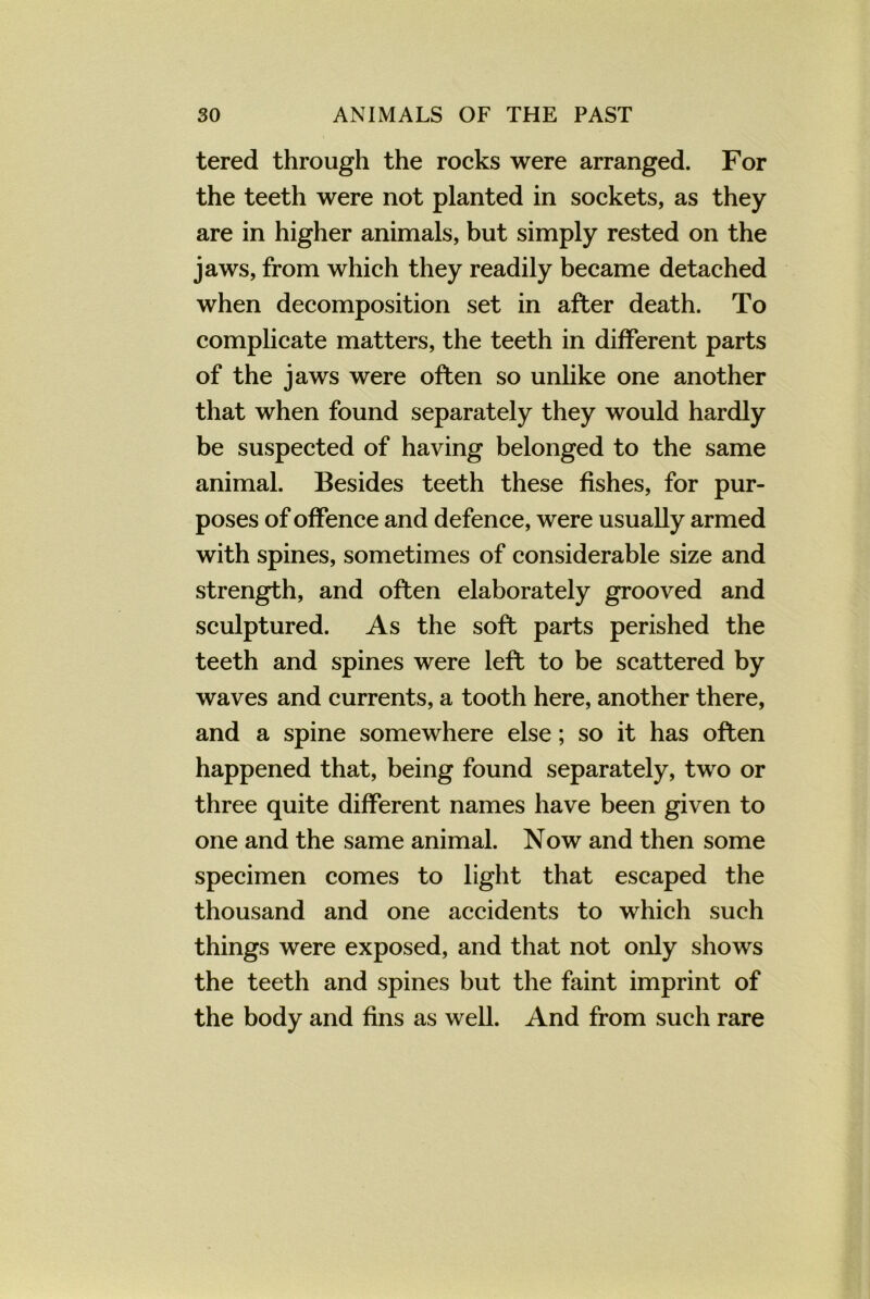 tered through the rocks were arranged. For the teeth were not planted in sockets, as they are in higher animals, but simply rested on the jaws, from which they readily became detached when decomposition set in after death. To complicate matters, the teeth in different parts of the jaws were often so unlike one another that when found separately they would hardly be suspected of having belonged to the same animal. Besides teeth these fishes, for pur- poses of offence and defence, were usually armed with spines, sometimes of considerable size and strength, and often elaborately grooved and sculptured. As the soft parts perished the teeth and spines were left to be scattered by waves and currents, a tooth here, another there, and a spine somewhere else; so it has often happened that, being found separately, two or three quite different names have been given to one and the same animal. Now and then some specimen comes to light that escaped the thousand and one accidents to which such things were exposed, and that not only shows the teeth and spines but the faint imprint of the body and fins as well. And from such rare