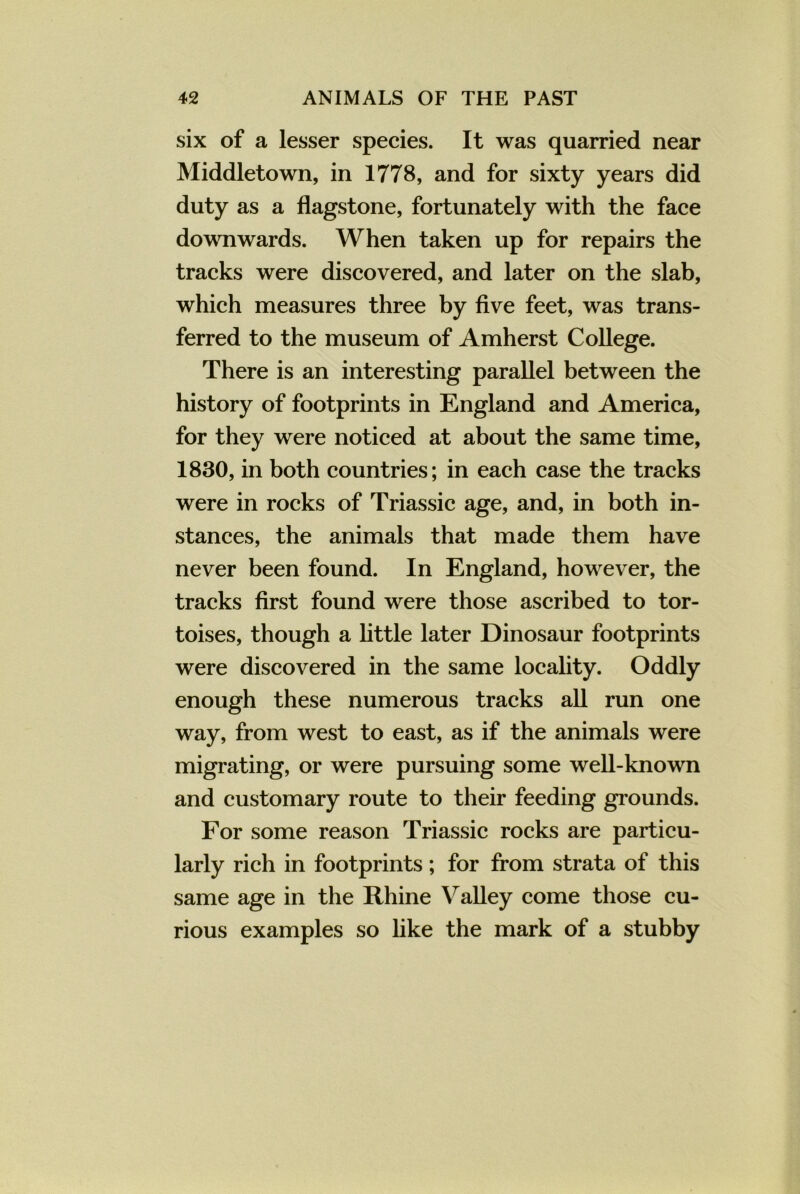 six of a lesser species. It was quarried near Middletown, in 1778, and for sixty years did duty as a flagstone, fortunately with the face downwards. When taken up for repairs the tracks were discovered, and later on the slab, which measures three by five feet, was trans- ferred to the museum of Amherst College. There is an interesting parallel between the history of footprints in England and America, for they were noticed at about the same time, 1830, in both countries; in each case the tracks were in rocks of Triassic age, and, in both in- stances, the animals that made them have never been found. In England, however, the tracks first found were those ascribed to tor- toises, though a little later Dinosaur footprints were discovered in the same locality. Oddly enough these numerous tracks all run one way, from west to east, as if the animals were migrating, or were pursuing some well-known and customary route to their feeding grounds. For some reason Triassic rocks are particu- larly rich in footprints; for from strata of this same age in the Rhine Valley come those cu- rious examples so like the mark of a stubby