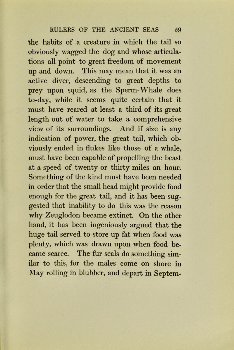 \he habits of a creature in which the tail so obviously wagged the dog and whose articula- tions all point to great freedom of movement up and down. This may mean that it was an active diver, descending to great depths to prey upon squid, as the Sperm-Whale does to-day, while it seems quite certain that it must have reared at least a third of its great length out of water to take a comprehensive view of its surroundings. And if size is any indication of power, the great tail, which ob- viously ended in flukes like those of a whale, must have been capable of propelling the beast at a speed of twenty or thirty miles an hour. Something of the kind must have been needed in order that the small head might provide food enough for the great tail, and it has been sug- gested that inability to do this was the reason why Zeuglodon became extinct. On the other hand, it has been ingeniously argued that the huge tail served to store up fat when food was plenty, which was drawn upon when food be- came scarce. The fur seals do something sim- ilar to this, for the males come on shore in May rolling in blubber, and depart in Septem-
