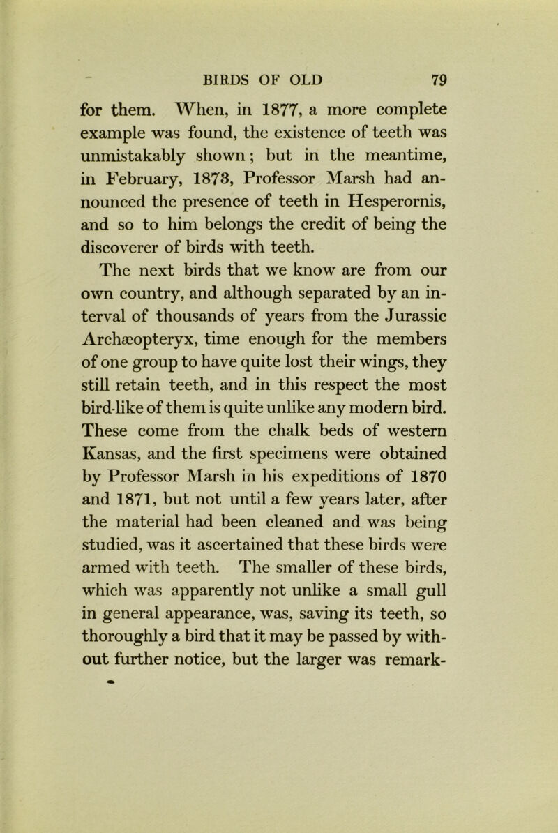 for them. When, in 1877, a more complete example was found, the existence of teeth was unmistakably shown; but in the meantime, in February, 1873, Professor Marsh had an- nounced the presence of teeth in Hesperornis, and so to him belongs the credit of being the discoverer of birds with teeth. The next birds that we know are from our own country, and although separated by an in- terval of thousands of years from the Jurassic Archaeopteryx, time enough for the members of one group to have quite lost their wings, they still retain teeth, and in this respect the most bird like of them is quite unlike any modern bird. These come from the chalk beds of western Kansas, and the first specimens were obtained by Professor Marsh in his expeditions of 1870 and 1871, but not until a few years later, after the material had been cleaned and was being studied, was it ascertained that these birds were armed with teeth. The smaller of these birds, which was apparently not unlike a small gull in general appearance, was, saving its teeth, so thoroughly a bird that it may be passed by with- out further notice, but the larger was remark-