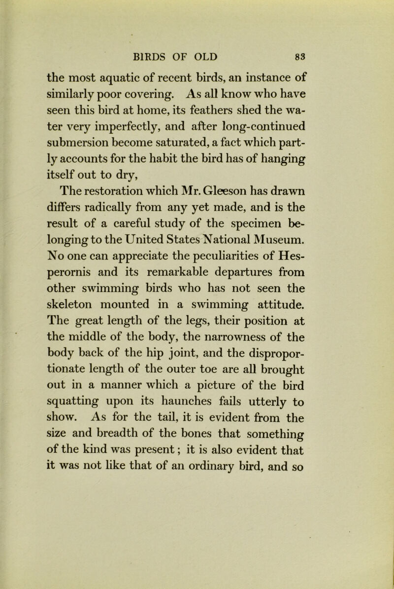 the most aquatic of recent birds, an instance of similarly poor covering. As all know who have seen this bird at home, its feathers shed the wa- ter very imperfectly, and after long-continued submersion become saturated, a fact which part- ly accounts for the habit the bird has of hanging itself out to dry, The restoration which Mr. Gleeson has drawn differs radically from any yet made, and is the result of a careful study of the specimen be- longing to the United States National Museum. No one can appreciate the peculiarities of Hes- perornis and its remarkable departures from other swimming birds who has not seen the skeleton mounted in a swimming attitude. The great length of the legs, their position at the middle of the body, the narrowness of the body back of the hip joint, and the dispropor- tionate length of the outer toe are all brought out in a manner which a picture of the bird squatting upon its haunches fails utterly to show. As for the tail, it is evident from the size and breadth of the bones that something of the kind was present; it is also evident that it was not like that of an ordinary bird, and so