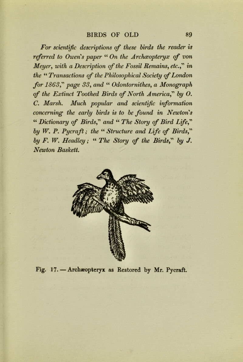 For scientific descriptions of these birds the reader is referred to Owen!s paper “ On the Archaeopteryx of von Meyer, with a Description of the Fossil Remains, etc.” in the “ Transactions of the Philosophical Society of London for 1863” page 33, and “ Odontornithes, a Monograph of the Extinct Toothed Birds of North America” by O. C. Marsh. Much popular and scientific information concerning the early birds is to be found in Newton's “ Dictionary of Birds” and “ The Story of Bird Life” by W. P. Pycraft; the “ Structure and Life of Birds” by F. W. Headley; “ The Story of the Birds,” by J. Newton Baskett. Fig. 17. — Archaeopteryx as Restored by Mr. Pycraft.