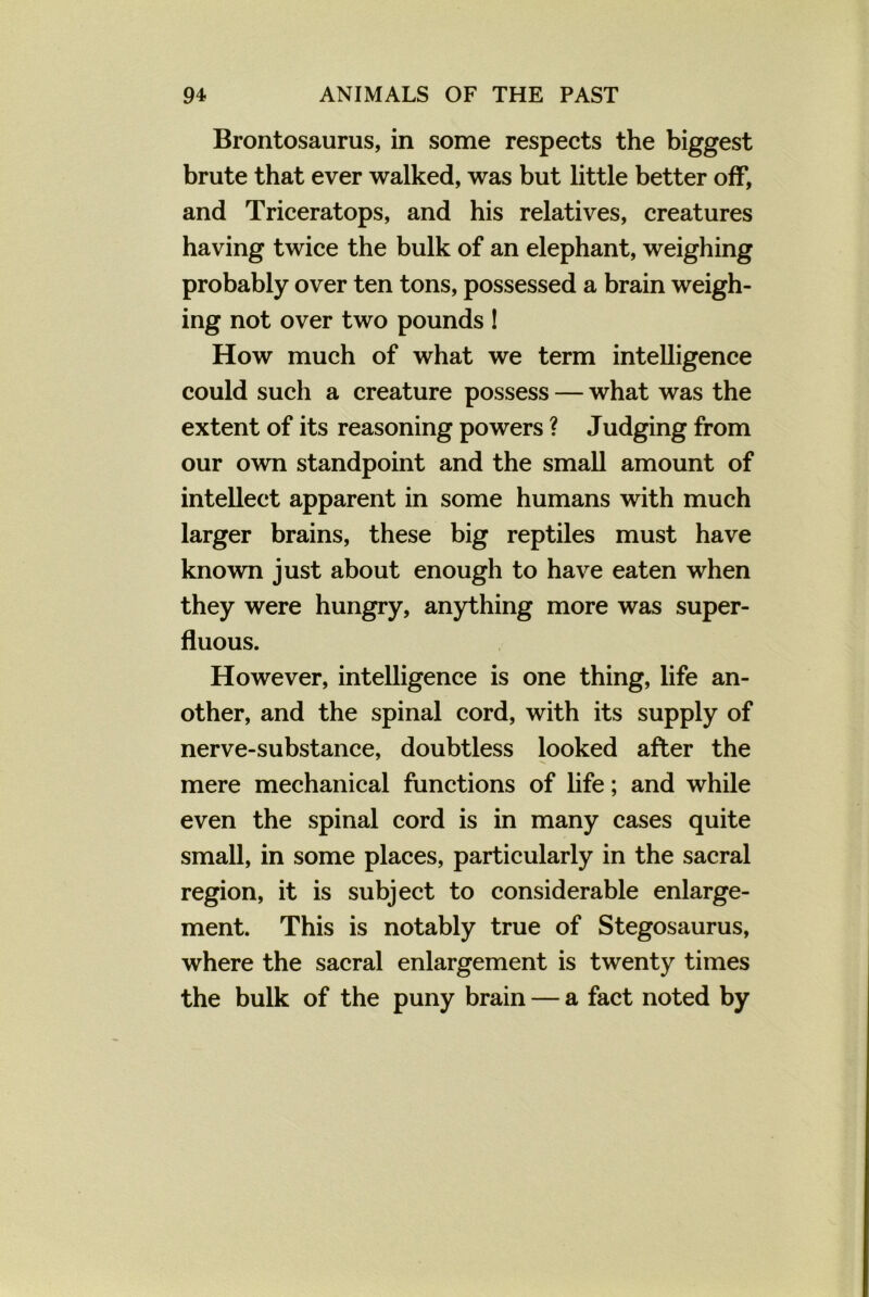 Brontosaurus, in some respects the biggest brute that ever walked, was but little better off, and Triceratops, and his relatives, creatures having twice the bulk of an elephant, weighing probably over ten tons, possessed a brain weigh- ing not over two pounds ! How much of what we term intelligence could such a creature possess — what was the extent of its reasoning powers ? Judging from our own standpoint and the small amount of intellect apparent in some humans with much larger brains, these big reptiles must have known just about enough to have eaten when they were hungry, anything more was super- fluous. However, intelligence is one thing, life an- other, and the spinal cord, with its supply of nerve-substance, doubtless looked after the mere mechanical functions of life; and while even the spinal cord is in many cases quite small, in some places, particularly in the sacral region, it is subject to considerable enlarge- ment. This is notably true of Stegosaurus, where the sacral enlargement is twenty times the bulk of the puny brain — a fact noted by