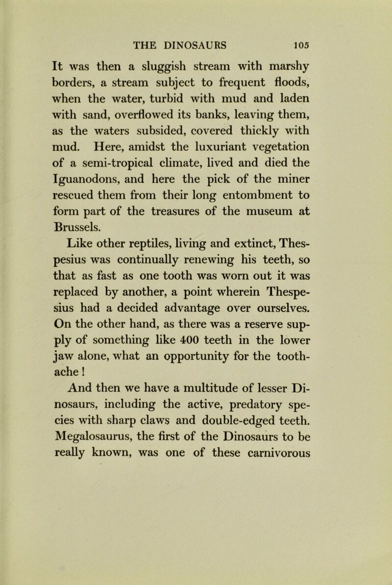 It was then a sluggish stream with marshy borders, a stream subject to frequent floods, when the water, turbid with mud and laden with sand, overflowed its banks, leaving them, as the waters subsided, covered thickly with mud. Here, amidst the luxuriant vegetation of a semi-tropical climate, lived and died the Iguanodons, and here the pick of the miner rescued them from their long entombment to form part of the treasures of the museum at Brussels. Like other reptiles, living and extinct, Thes- pesius was continually renewing his teeth, so that as fast as one tooth was worn out it was replaced by another, a point wherein Thespe- sius had a decided advantage over ourselves. On the other hand, as there was a reserve sup- ply of something like 400 teeth in the lower jaw alone, what an opportunity for the tooth- ache ! And then we have a multitude of lesser Di- nosaurs, including the active, predatory spe- cies with sharp claws and double-edged teeth. Megalosaurus, the first of the Dinosaurs to be really known, was one of these carnivorous