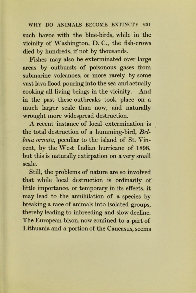 such havoc with the blue-birds, while in the vicinity of Washington, D. C., the fish-crows died by hundreds, if not by thousands. Fishes may also be exterminated over large areas by outbursts of poisonous gases from submarine volcanoes, or more rarely by some vast lava flood pouring into the sea and actually cooking all living beings in the vicinity. And in the past these outbreaks took place on a much larger scale than now, and naturally wrought more widespread destruction. A recent instance of local extermination is the total destruction of a humming-bird, Bel- lona ornata, peculiar to the island of St. Vin- cent, by the West Indian hurricane of 1898, but this is naturally extirpation on a very small scale. Still, the problems of nature are so involved that while local destruction is ordinarily of little importance, or temporary in its effects, it may lead to the annihilation of a species by breaking a race of animals into isolated groups, thereby leading to inbreeding and slow decline. The European bison, now confined to a part of Lithuania and a portion of the Caucasus, seems