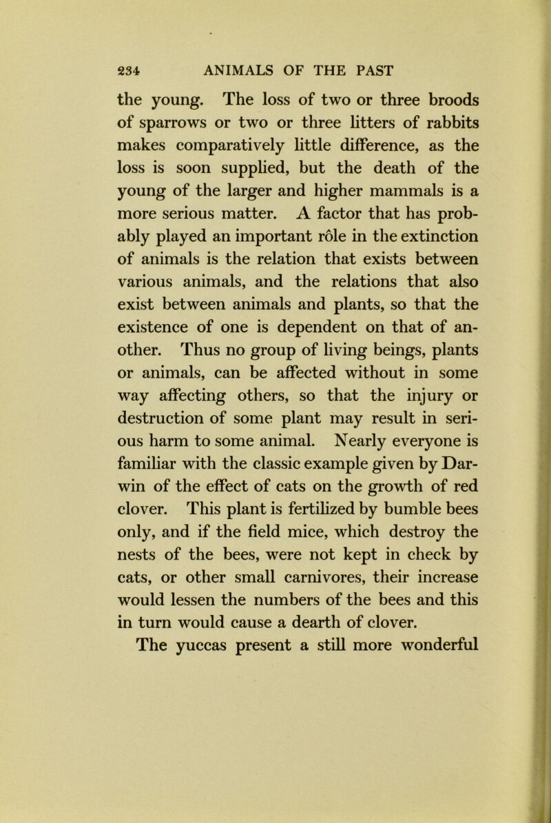 the young. The loss of two or three broods of sparrows or two or three litters of rabbits makes comparatively little difference, as the loss is soon supplied, but the death of the young of the larger and higher mammals is a more serious matter. A factor that has prob- ably played an important role in the extinction of animals is the relation that exists between various animals, and the relations that also exist between animals and plants, so that the existence of one is dependent on that of an- other. Thus no group of living beings, plants or animals, can be affected without in some way affecting others, so that the injury or destruction of some plant may result in seri- ous harm to some animal. Nearly everyone is familiar with the classic example given by Dar- win of the effect of cats on the growth of red clover. This plant is fertilized by bumble bees only, and if the field mice, which destroy the nests of the bees, were not kept in check by cats, or other small carnivores, their increase would lessen the numbers of the bees and this in turn would cause a dearth of clover. The yuccas present a still more wonderful