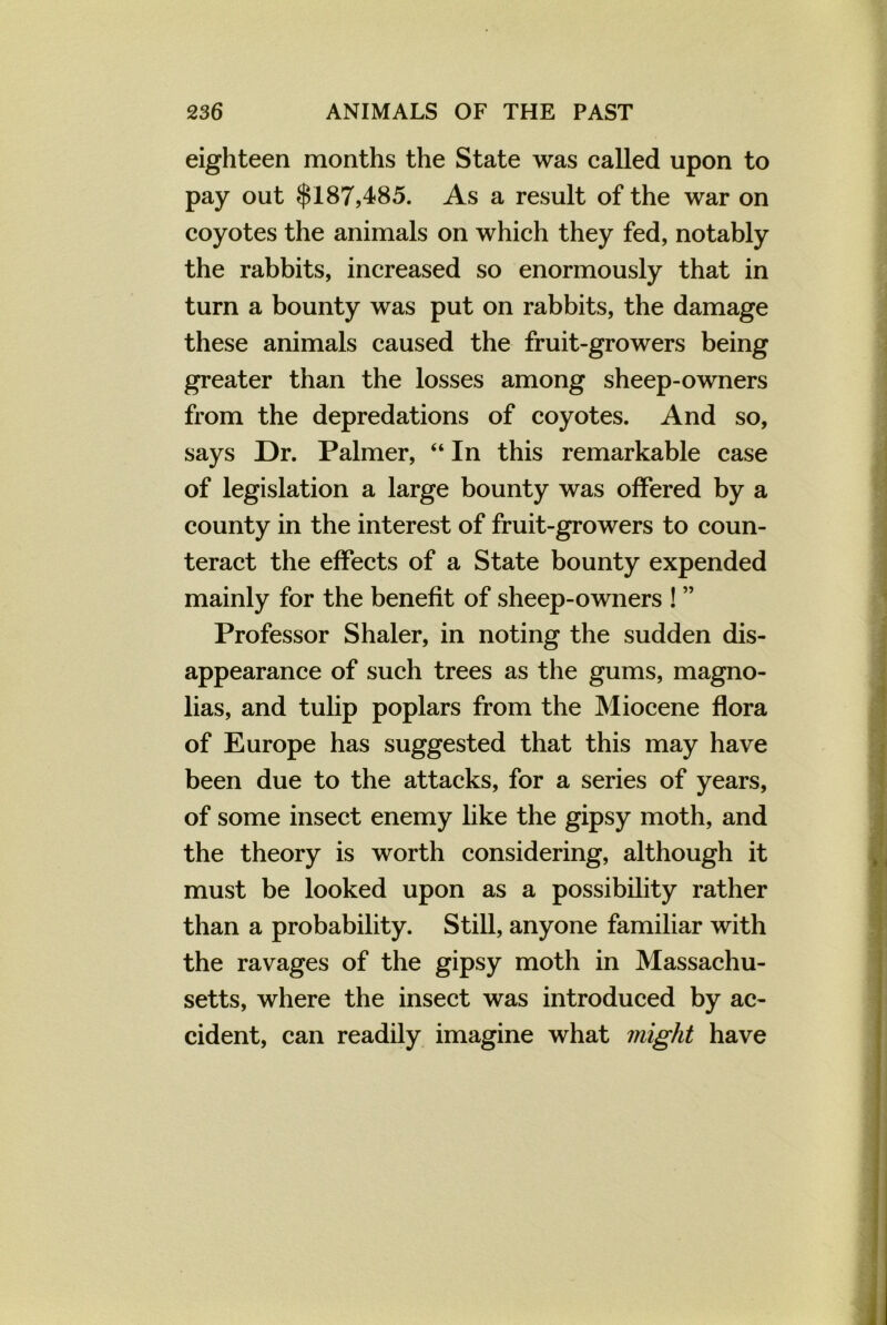 eighteen months the State was called upon to pay out $187,485. As a result of the war on coyotes the animals on which they fed, notably the rabbits, increased so enormously that in turn a bounty was put on rabbits, the damage these animals caused the fruit-growers being greater than the losses among sheep-owners from the depredations of coyotes. And so, says Dr. Palmer, “In this remarkable case of legislation a large bounty was offered by a county in the interest of fruit-growers to coun- teract the effects of a State bounty expended mainly for the benefit of sheep-owners ! ” Professor Shaler, in noting the sudden dis- appearance of such trees as the gums, magno- lias, and tulip poplars from the Miocene flora of Europe has suggested that this may have been due to the attacks, for a series of years, of some insect enemy like the gipsy moth, and the theory is worth considering, although it must be looked upon as a possibility rather than a probability. Still, anyone familiar with the ravages of the gipsy moth in Massachu- setts, where the insect was introduced by ac- cident, can readily imagine what might have