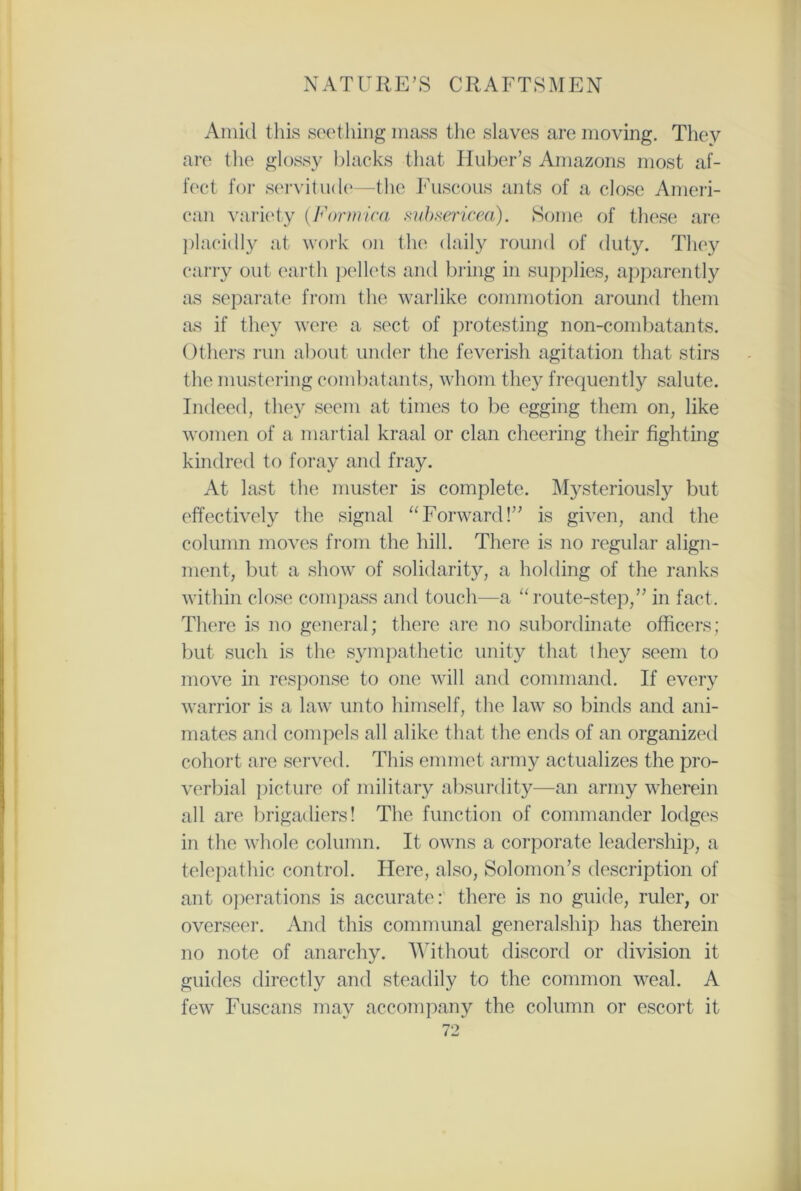 Amid this seething mass the slaves are moving. They are the glossy blacks that Huber’s Amazons most af- fect for servitude—the Fuscous ants of a close Ameri- can variety {Formica sabsericea). Some of these are placidly at work on the daily round of duty. They carry out earth pellets and bring in supplies, apparently as separate from the warlike commotion around them as if they were a sect of protesting non-combatants. Others run about under the feverish agitation that stirs the mustering combatants, whom they frequently salute. Indeed, they seem at times to be egging them on, like women of a martial kraal or clan cheering their fighting kindred to foray and fray. At last the muster is complete. Mysteriously but effectively the signal “Forward!” is given, and the column moves from the hill. There is no regular align- ment, but a show of solidarity, a holding of the ranks within close compass and touch—a “ route-step,” in fact. There is no general; there are no subordinate officers; but such is the sympathetic unity that they seem to move in response to one will and command. If every warrior is a law unto himself, the law so binds and ani- mates and compels all alike that the ends of an organized cohort are served. This emmet army actualizes the pro- verbial picture of military absurdity—an army wherein all are brigadiers! The function of commander lodges in the whole column. It owns a corporate leadership, a telepathic control. Here, also, Solomon’s description of ant operations is accurate: there is no guide, ruler, or overseer. And this communal generalship has therein no note of anarchy. Without discord or division it guides directly and steadily to the common weal. A few Fuscans may accompany the column or escort it