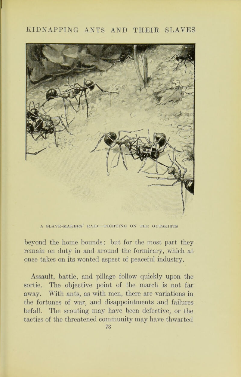 A SLAVE-MAKERS’ RAID—FIGHTING ON THE OUTSKIRTS beyond the home bounds; but for the most part they remain on duty in and around the formicary, which at once takes on its wonted aspect of peaceful industry. Assault, battle, and pillage follow quickly upon the sortie. The objective point of the march is not far away. With ants, as with men, there are variations in the fortunes of war, and disappointments and failures befall. The scouting may have been defective, or the tactics of the threatened community may have thwarted