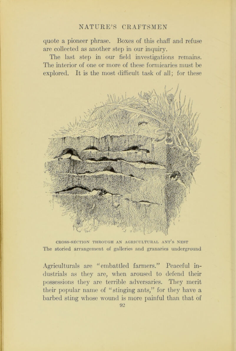 quote a pioneer phrase. Boxes of this chaff and refuse are collected as another step in our inquiry. The last step in our field investigations remains. The interior of one or more of these formicaries must be explored. It is the most difficult task of all; for these CROSS-SECTION THROUGH AN AGRICULTURAL ANT’S NEST The storied arrangement of galleries and granaries underground Agricultural are “embattled farmers.” Peaceful in- dustrials as they are, when aroused to defend their possessions they are terrible adversaries. They merit their popular name of “stinging ants,” for they have a barbed sting whose wound is more painful than that of