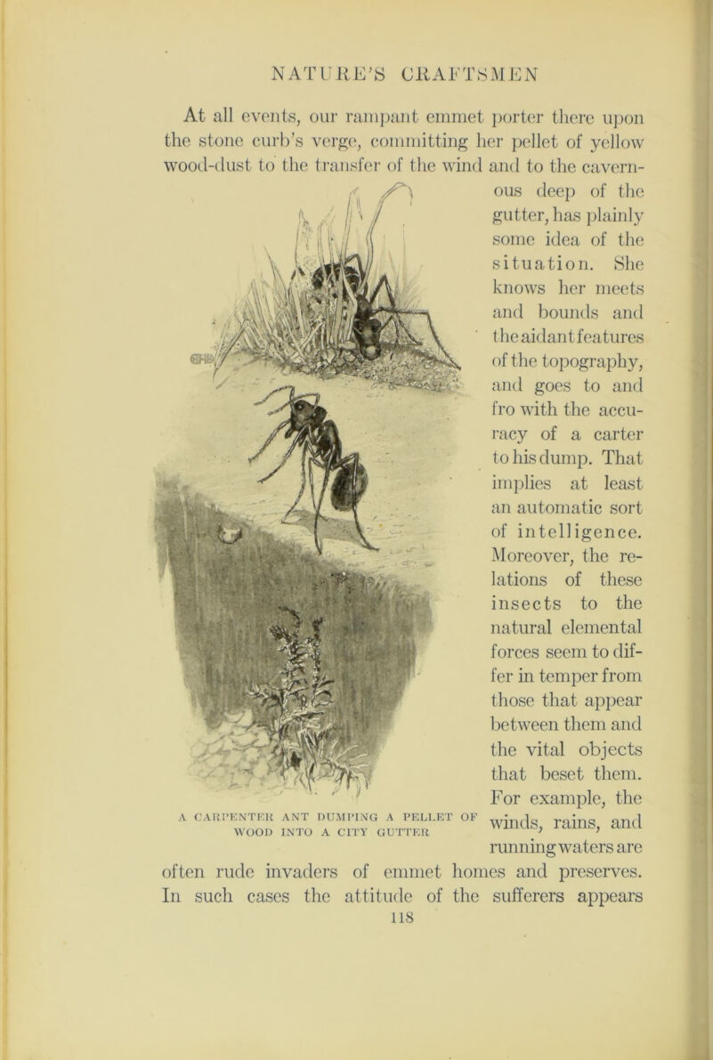 At all events, our rampant emmet porter there upon the stone curb’s verge, committing her pellet of yellow wood-dust to the transfer of the wind and to the cavern- ous deep of the gutter, has plainly some idea of the situation. She knows her meets and bounds and the aidant features of the topography, and goes to and fro with the accu- racy of a carter to his dump. That implies at least an automatic sort of intelligence. Moreover, the re- lations of these insects to the natural elemental forces seem to dif- fer in temper from those that appear between them and the vital objects that beset them. For example, the winds, rains, and running waters are often rude invaders of emmet homes and preserves. In such cases the attitude of the sufferers appears 118 A CARPENTER ANT DUMPING A PELI.ET OF WOOD INTO A CITY GUTTER