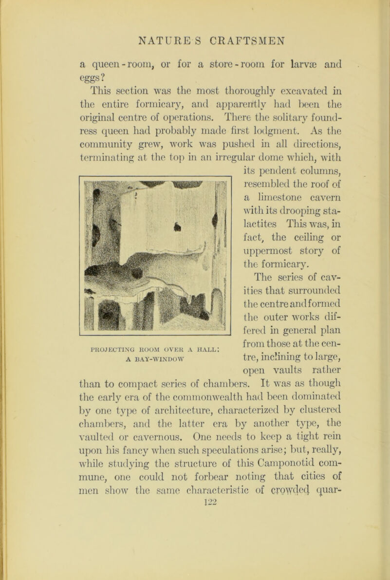 a queen - room, or for a store-room for larvae and eggs? This section was the most thoroughly excavated in the entire formicary, and apparently had been the original centre of operations. There the solitary found- ress queen had probably made first lodgment. As the community grew, work was pushed in all directions, terminating at the top in an irregular dome which, with its pendent columns, resembled the roof of a limestone cavern with its drooping sta- lactites This was, in fact, the ceiling or uppermost story of the formicary. The scries of cav- ities that surrounded the centre and formed the outer works dif- fered in general plan from those at the cen- tre, inclining to large, open vaults rather than to compact series of chambers. It was as though the early era of the commonwealth had been dominated by one type of architecture, characterized by clustered chambers, and the latter era by another type, the vaulted or cavernous. One needs to keep a tight rein upon liis fancy when such speculations arise; but, really, while studying the structure of this Camponotid com- mune, one could not forbear noting that cities of men show the same characteristic of crowdecj quar- 122 PROJECTING ROOM OVER A HALL: A BAY-WINDOW