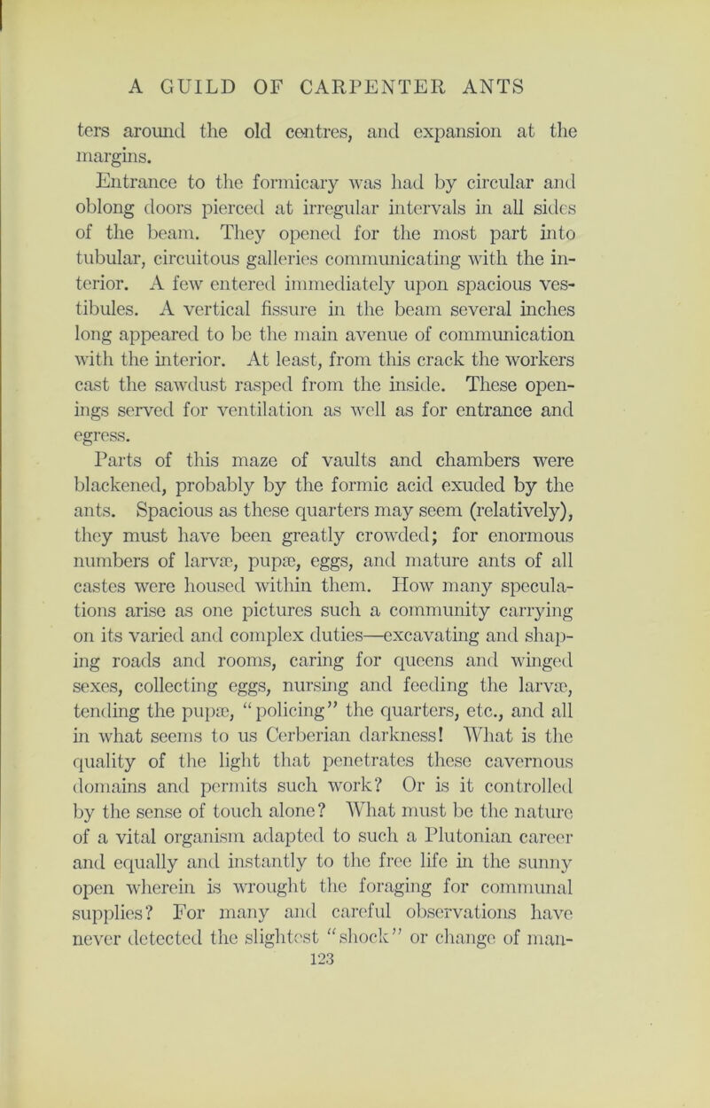 ters around the old centres, and expansion at the margins. Entrance to the formicary was had by circular and oblong doors pierced at irregular intervals in all sides of the beam. They opened for the most part into tubular, circuitous galleries communicating with the in- terior. A few entered immediately upon spacious ves- tibules. A vertical fissure in the beam several inches long appeared to be the main avenue of communication with the interior. At least, from this crack the workers cast the sawdust rasped from the inside. These open- ings served for ventilation as well as for entrance and egress. Parts of this maze of vaults and chambers were blackened, probably by the formic acid exuded by the ants. Spacious as these quarters may seem (relatively), they must have been greatly crowded; for enormous numbers of larvae, pupae, eggs, and mature ants of all castes were housed within them. Plow many specula- tions arise as one pictures such a community carrying on its varied and complex duties—excavating and shap- ing roads and rooms, caring for queens and winged sexes, collecting eggs, nursing and feeding the larvae, tending the pupae, “policing” the quarters, etc., and all in what seems to us Cerberian darkness I What is the quality of the light that penetrates these cavernous domains and permits such work? Or is it controlled by the sense of touch alone? What must be the nature of a vital organism adapted to such a Plutonian career and equally and instantly to the free life in the sunny open wherein is wrought the foraging for communal supplies? For many and careful observations have never detected the slightest “shock” or change of man-