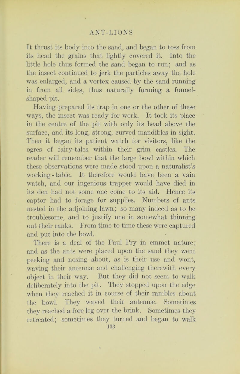 It thrust its body into the sand, and began to toss from its head the grains that lightly covered it. Into the little hole thus formed the sand began to run; and as the insect continued to jerk the particles away the hole was enlarged, and a vortex caused by the sand running in from all sides, thus naturally forming a funnel- shaped pit. Having prepared its trap in one or the other of these ways, the insect was ready for work. It took its place in the centre of the pit with only its head above the surface, and its long, strong, curved mandibles in sight. Then it began its patient watch for visitors, like the ogres of fairy-tales within their grim castles. The reader will remember that the large bowl within which these observations were made stood upon a naturalist’s working - table. It therefore would have been a vain watch, and our ingenious trapper would have died in its den had not some one come to its aid. Hence its captor had to forage for supplies. Numbers of ants nested in the adjoining lawn; so many indeed as to be troublesome, and to justify one in somewhat thinning out their ranks. From time to time these were captured and put into the bowl. There is a deal of the Paul Pry in emmet nature; and as the ants were placed upon the sand they went peeking and nosing about, as is their use and wont, waving their antenna) and challenging therewith every object in their way. -But they did not seem to walk deliberately into the pit. They stopped upon the edge when they reached it in course of their rambles about the bowl. They waved their antennae. Sometimes they reached a fore leg over the brink. Sometimes they retreated; sometimes they turned and began to walk