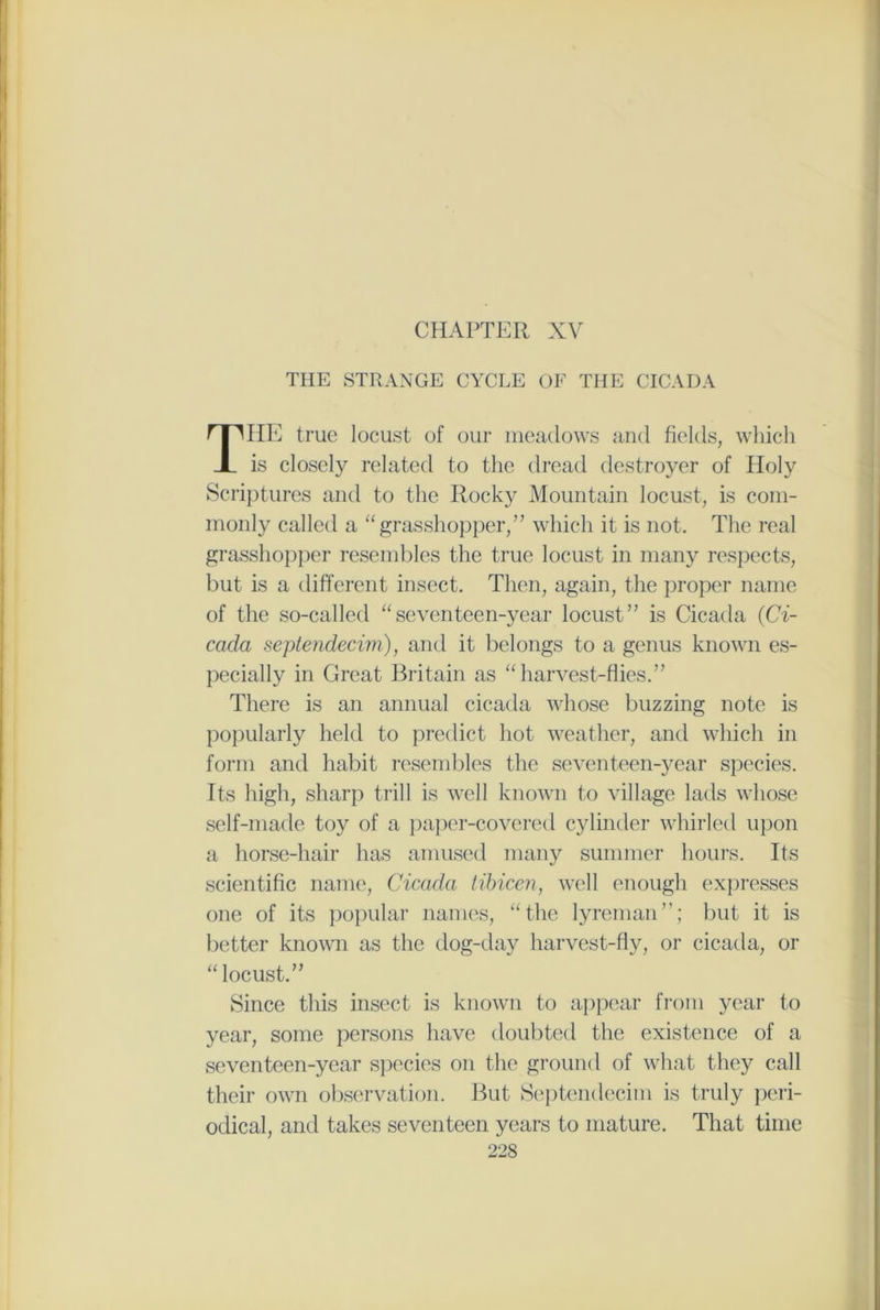 CHAPTER XV THE STRANGE CYCLE OF THE CICADA THE true locust of our meadows and fields, which is closely related to the dread destroyer of Holy Scriptures and to the Rocky Mountain locust, is com- monly called a “ grasshopper,” which it is not. The real grasshopper resembles the true locust in many respects, but is a different insect. Then, again, the proper name of the so-called “seventeen-year locust” is Cicada (Ci- cada septendecim), and it belongs to a genus known es- pecially in Great Britain as “harvest-flies.” There is an annual cicada whose buzzing note is popularly held to predict hot weather, and which in form and habit resembles the seventeen-year species. Its high, sharp trill is well known to village lads whose self-made toy of a paper-covered cylinder whirled upon a horse-hair has amused many summer hours. Its scientific name, Cicada tibicen, well enough expresses one of its popular names, “the lyreman”; but it is better known as the dog-day harvest-fly, or cicada, or “ locust.” Since this insect is known to appear from year to year, some persons have doubted the existence of a seventeen-year species on the ground of what they call their own observation. But Septendecim is truly peri- odical, and takes seventeen years to mature. That time