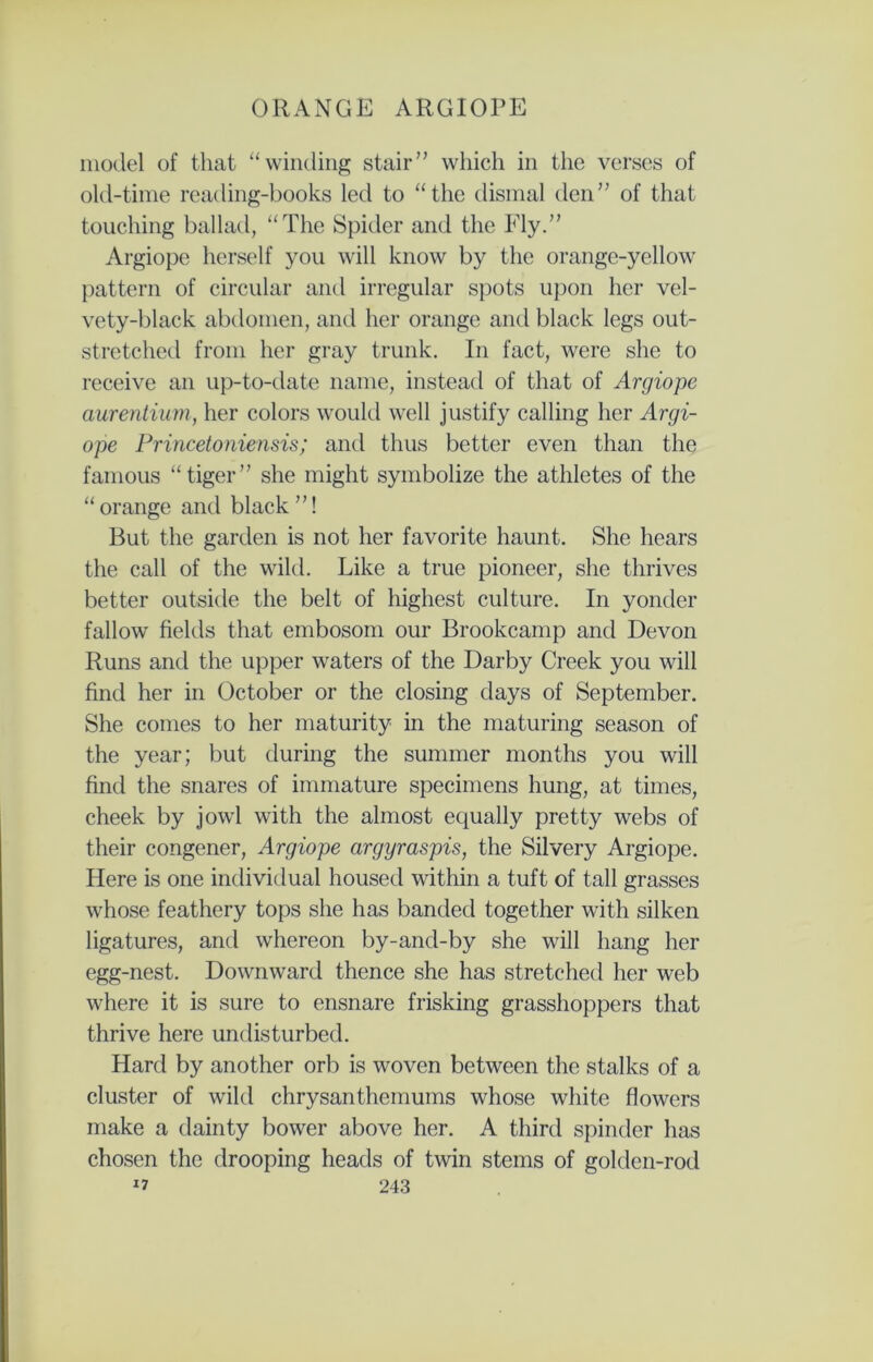 model of that “winding stair” which in the verses of old-time reading-books led to “the dismal den” of that touching ballad, “The Spider and the Fly.” Argiope herself you will know by the orange-yellow pattern of circular and irregular spots upon her vel- vety-black abdomen, and her orange and black legs out- stretched from her gray trunk. In fact, were she to receive an up-to-date name, instead of that of Argiope aurentium, her colors would well justify calling her Argi- ope Princetoniensis; and thus better even than the famous “tiger” she might symbolize the athletes of the “orange and black”! But the garden is not her favorite haunt. She hears the call of the wild. Like a true pioneer, she thrives better outside the belt of highest culture. In yonder fallow fields that embosom our Brookcamp and Devon Runs and the upper waters of the Darby Creek you will find her in October or the closing days of September. She comes to her maturity in the maturing season of the year; but during the summer months you will find the snares of immature specimens hung, at times, cheek by jowl with the almost equally pretty webs of their congener, Argiope argyraspis, the Silvery Argiope. Here is one individual housed within a tuft of tall grasses whose feathery tops she has banded together with silken ligatures, and whereon by-and-by she will hang her egg-nest. Downward thence she has stretched her web where it is sure to ensnare frisking grasshoppers that thrive here undisturbed. Hard by another orb is woven between the stalks of a cluster of wild chrysanthemums whose white flowers make a dainty bower above her. A third spinder has chosen the drooping heads of twin stems of golden-rod