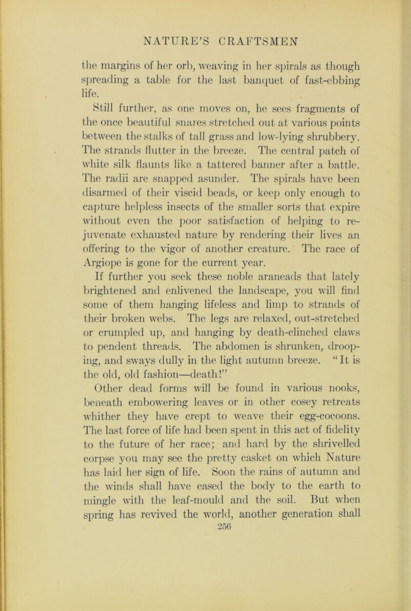 the margins of her orb, weaving in her spirals as though spreading a table for the last banquet of fast-ebbing life. Still further, as one moves on, he sees fragments of the once beautiful snares stretched out at various points between the stalks of tall grass and low-lying shrubbery. The strands flutter in the breeze. The central patch of white silk flaunts like a tattered banner after a battle. The radii are snapped asunder. The spirals have been disarmed of their viscid beads, or keep only enough to capture helpless insects of the smaller sorts that expire without even the poor satisfaction of helping to re- juvenate exhausted nature by rendering their lives an offering to the vigor of another creature. The race of Argiope is gone for the current year. If further you seek these noble araneads that lately brightened and enlivened the landscape, you will find some of them hanging lifeless and limp to strands of their broken webs. The legs are relaxed, out-stretched or crumpled up, and hanging by death-clinched claws to pendent threads. The abdomen is shrunken, droop- ing, and sways dully in the light autumn breeze. “ It is the old, old fashion—death!” Other dead forms will be found in various nooks, beneath embowering leaves or in other cosey retreats whither they have crept to weave their egg-cocoons. The last force of life had been spent in this act of fidelity to the future of her race; and hard by the shrivelled corpse you may see the pretty casket on which Nature has laid her sign of life. Soon the rains of autumn and the winds shall have eased the body to the earth to mingle with the leaf-mould and the soil. But when spring has revived the world, another generation shall