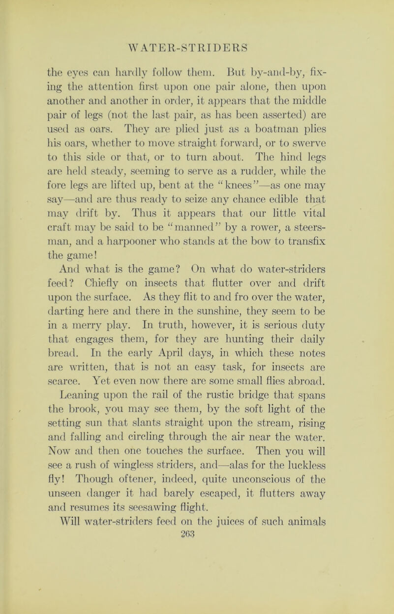 the eyes can hardly follow them. But by-and-by, fix- ing the attention first upon one pair alone, then upon another and another in order, it appears that the middle pair of legs (not the last pair, as has been asserted) are used as oars. They are plied just as a boatman plies his oars, whether to move straight forward, or to swerve to this side or that, or to turn about. The hind legs are held steady, seeming to serve as a rudder, while the fore legs are lifted up, bent at the “knees”—as one may say—and are thus ready to seize any chance edible that may drift by. Thus it appears that our little vital craft may be said to be “manned” by a rower, a steers- man, and a harpooner who stands at the bow to transfix the game! And what is the game? On what do water-striders feed? Chiefly on insects that flutter over and drift upon the surface. As they flit to and fro over the water, darting here and there in the sunshine, they seem to be in a merry play. In truth, however, it is serious duty that engages them, for they are hunting their daily bread. In the early April days, in which these notes are written, that is not an easy task, for insects are scarce. Yet even now there are some small flies abroad. Leaning upon the rail of the rustic bridge that spans the brook, you may see them, by the soft light of the setting sun that slants straight upon the stream, rising and falling and circling through the air near the water. Now and then one touches the surface. Then you will see a rush of wingless striders, and—alas for the luckless fly! Though oftener, indeed, quite unconscious of the unseen danger it had barely escaped, it flutters away and resumes its seesawing flight. Will water-striders feed on the juices of such animals