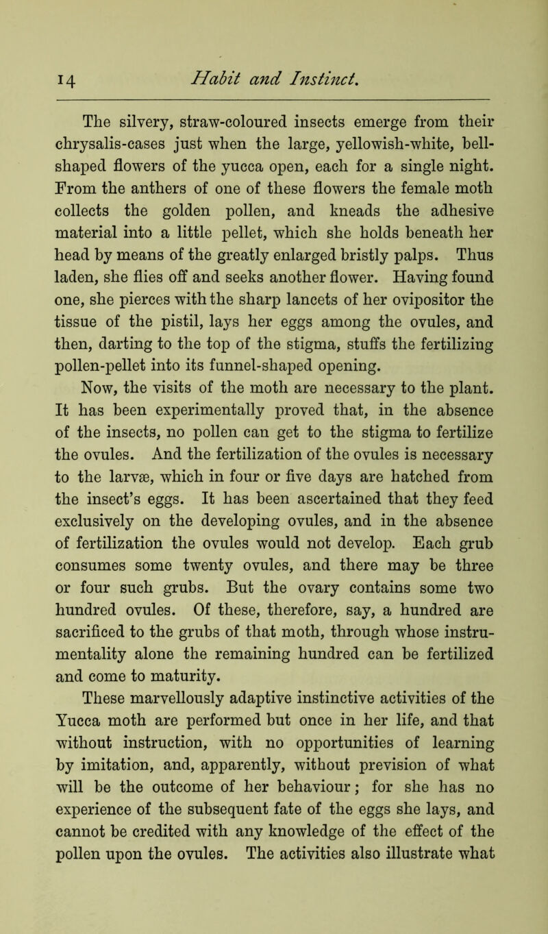 The silvery, straw-coloured insects emerge from their chrysalis-cases just when the large, yellowish-white, bell- shaped flowers of the yucca open, each for a single night. From the anthers of one of these flowers the female moth collects the golden pollen, and kneads the adhesive material into a little pellet, which she holds beneath her head by means of the greatly enlarged bristly palps. Thus laden, she flies off and seeks another flower. Having found one, she pierces with the sharp lancets of her ovipositor the tissue of the pistil, lays her eggs among the ovules, and then, darting to the top of the stigma, stuffs the fertilizing pollen-pellet into its funnel-shaped opening. Now, the visits of the moth are necessary to the plant. It has been experimentally proved that, in the absence of the insects, no pollen can get to the stigma to fertilize the ovules. And the fertilization of the ovules is necessary to the larvae, which in four or five days are hatched from the insect’s eggs. It has been ascertained that they feed exclusively on the developing ovules, and in the absence of fertilization the ovules would not develop. Each grub consumes some twenty ovules, and there may be three or four such grubs. But the ovary contains some two hundred ovules. Of these, therefore, say, a hundred are sacrificed to the grubs of that moth, through whose instru- mentality alone the remaining hundred can be fertilized and come to maturity. These marvellously adaptive instinctive activities of the Yucca moth are performed but once in her life, and that without instruction, with no opportunities of learning by imitation, and, apparently, without prevision of what will be the outcome of her behaviour; for she has no experience of the subsequent fate of the eggs she lays, and cannot be credited with any knowledge of the effect of the pollen upon the ovules. The activities also illustrate what