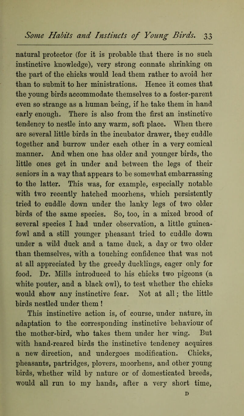 natural protector (for it is probable that there is no such instinctive knowledge), very strong connate shrinking on the part of the chicks would lead them rather to avoid her than to submit to her ministrations. Hence it comes that the young birds accommodate themselves to a foster-parent even so strange as a human being, if he take them in hand early enough. There is also from the first an instinctive tendency to nestle into any warm, soft place. When there are several little birds in the incubator drawer, they cuddle together and burrow under each other in a very comical manner. And when one has older and younger birds, the little ones get in under and between the legs of their seniors in a way that appears to be somewhat embarrassing to the latter. This was, for example, especially notable with two recently hatched moorhens, which persistently tried to cuddle down under the lanky legs of two older birds of the same species. So, too, in a mixed brood of several species I had under observation, a little guinea- fowl and a still younger pheasant tried to cuddle down under a wild duck and a tame duck, a day or two older than themselves, with a touching confidence that was not at all appreciated by the greedy ducklings, eager only for food. Dr. Mills introduced to his chicks two pigeons (a white pouter, and a black owl), to test whether the chicks would show any instinctive fear. Not at all; the little birds nestled under them ! This instinctive action is, of course, under nature, in adaptation to the corresponding instinctive behaviour of the mother-bird, who takes them under her wing. But with hand-reared birds the instinctive tendency acquires a new direction, and undergoes modification. Chicks, pheasants, partridges, plovers, moorhens, and other young birds, whether wild by nature or of domesticated breeds, would all run to my hands, after a very short time, D