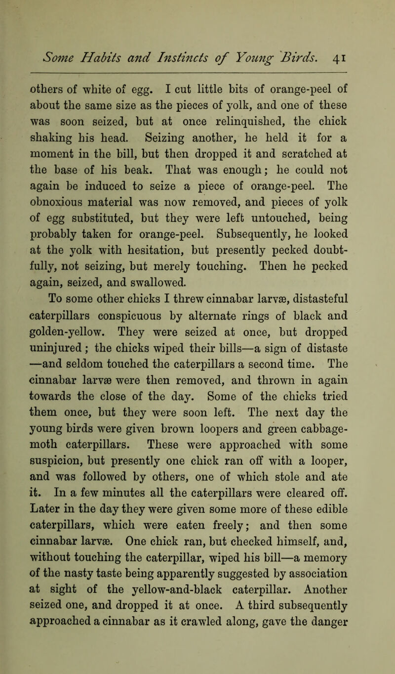 others of white of egg. I cut little bits of orange-peel of about the same size as the pieces of yolk, and one of these was soon seized, but at once relinquished, the chick shaking his head. Seizing another, he held it for a moment in the bill, hut then dropped it and scratched at the base of his beak. That was enough; he could not again be induced to seize a piece of orange-peel. The obnoxious material was now removed, and pieces of yolk of egg substituted, but they were left untouched, being probably taken for orange-peel. Subsequently, he looked at the yolk with hesitation, but presently pecked doubt- fully, not seizing, but merely touching. Then he pecked again, seized, and swallowed. To some other chicks I threw cinnabar larvae, distasteful caterpillars conspicuous by alternate rings of black and golden-yellow. They were seized at once, but dropped uninjured ; the chicks wiped their bills—a sign of distaste —and seldom touched the caterpillars a second time. The cinnabar larvae were then removed, and thrown in again towards the close of the day. Some of the chicks tried them once, but they were soon left. The next day the young birds were given brown loopers and green cabbage- moth caterpillars. These were approached with some suspicion, but presently one chick ran off with a looper, and was followed by others, one of which stole and ate it. In a few minutes all the caterpillars were cleared off. Later in the day they were given some more of these edible caterpillars, which were eaten freely; and then some cinnabar larvae. One chick ran, but checked himself, and, without touching the caterpillar, wiped his bill—a memory of the nasty taste being apparently suggested by association at sight of the yellow-and-black caterpillar. Another seized one, and dropped it at once. A third subsequently approached a cinnabar as it crawled along, gave the danger