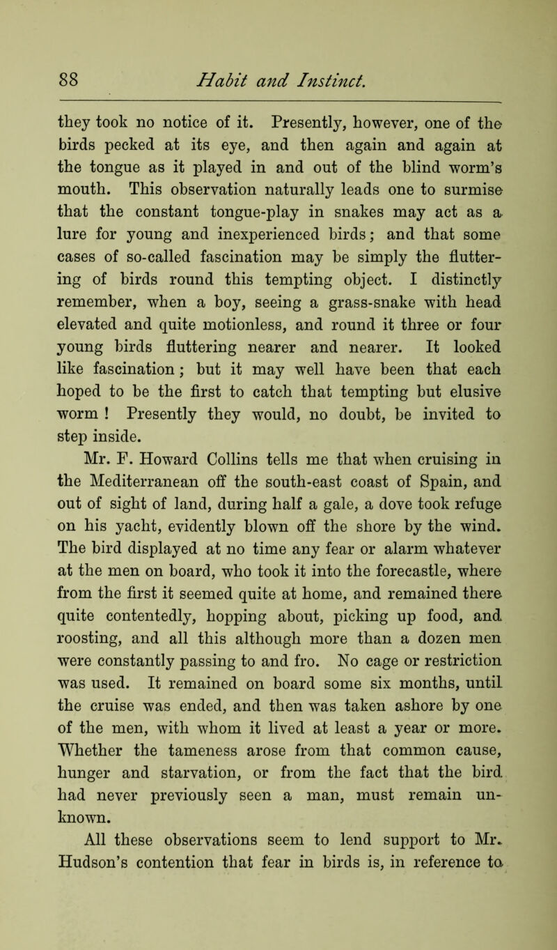 they took no notice of it. Presently, however, one of the birds pecked at its eye, and then again and again at the tongue as it played in and out of the blind worm’s mouth. This observation naturally leads one to surmise that the constant tongue-play in snakes may act as a lure for young and inexperienced birds; and that some cases of so-called fascination may be simply the flutter- ing of birds round this tempting object. I distinctly remember, when a boy, seeing a grass-snake with head elevated and quite motionless, and round it three or four young birds fluttering nearer and nearer. It looked like fascination; but it may well have been that each hoped to be the first to catch that tempting but elusive worm ! Presently they would, no doubt, be invited to step inside. Mr. F. Howard Collins tells me that when cruising in the Mediterranean off the south-east coast of Spain, and out of sight of land, during half a gale, a dove took refuge on his yacht, evidently blown off the shore by the wind. The bird displayed at no time any fear or alarm whatever at the men on board, who took it into the forecastle, where from the first it seemed quite at home, and remained there quite contentedly, hopping about, picking up food, and roosting, and all this although more than a dozen men were constantly passing to and fro. No cage or restriction was used. It remained on board some six months, until the cruise was ended, and then was taken ashore by one of the men, with whom it lived at least a year or more. Whether the tameness arose from that common cause, hunger and starvation, or from the fact that the bird had never previously seen a man, must remain un- known. All these observations seem to lend support to Mr. Hudson’s contention that fear in birds is, in reference ta