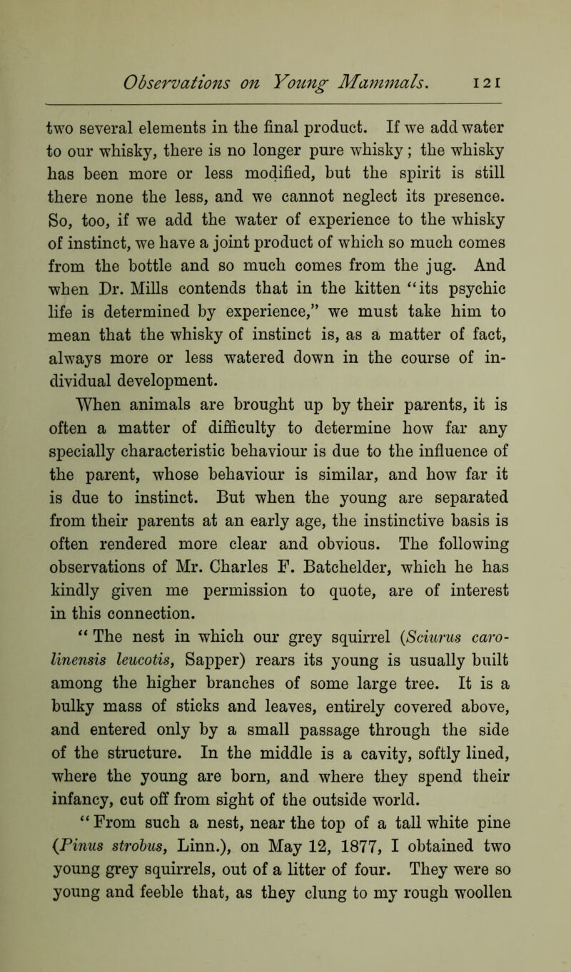 two several elements in the final product. If we add water to our whisky, there is no longer pure whisky; the whisky has been more or less modified, but the spirit is still there none the less, and we cannot neglect its presence. So, too, if we add the water of experience to the whisky of instinct, we have a joint product of which so much comes from the bottle and so much comes from the jug. And when Dr. Mills contends that in the kitten “its psychic life is determined by experience,” we must take him to mean that the whisky of instinct is, as a matter of fact, always more or less watered down in the course of in- dividual development. When animals are brought up by their parents, it is often a matter of difficulty to determine how far any specially characteristic behaviour is due to the influence of the parent, whose behaviour is similar, and how far it is due to instinct. But when the young are separated from their parents at an early age, the instinctive basis is often rendered more clear and obvious. The following observations of Mr. Charles F. Batchelder, which he has kindly given me permission to quote, are of interest in this connection. “ The nest in which our grey squirrel (Sciurus caro- linensis leucotis, Sapper) rears its young is usually built among the higher branches of some large tree. It is a bulky mass of sticks and leaves, entirely covered above, and entered only by a small passage through the side of the structure. In the middle is a cavity, softly lined, where the young are born, and where they spend their infancy, cut off from sight of the outside world. “From such a nest, near the top of a tall white pine (Pinus strobus, Linn.), on May 12, 1877, I obtained two young grey squirrels, out of a litter of four. They were so young and feeble that, as they clung to my rough woollen