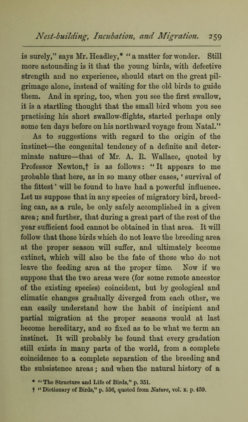 is surely,” says Mr. Headley,* “ a matter for wonder. Still more astounding is it that the young birds, with defective strength and no experience, should start on the great pil- grimage alone, instead of waiting for the old birds to guide them. And in spring, too, when you see the first swallow, it is a startling thought that the small bird whom you see practising his short swallow-flights, started perhaps only some ten days before on his northward voyage from Natal.” As to suggestions with regard to the origin of the instinct—the congenital tendency of a definite and deter- minate nature—that of Mr. A. E. Wallace, quoted by Professor Newton,f is as follows: “ It appears to me probable that here, as in so many other cases,‘ survival of the fittest ’ will be found to have had a powerful influence. Let us suppose that in any species of migratory bird, breed- ing can, as a rule, be only safely accomplished in a given area; and further, that during a great part of the rest of the year sufficient food cannot be obtained in that area. It will follow that those birds which do not leave the breeding area at the proper season will suffer, and ultimately become extinct, which will also be the fate of those who do not leave the feeding area at the proper time. Now if we suppose that the two areas were (for some remote ancestor of the existing species) coincident, but by geological and climatic changes gradually diverged from each other, we can easily understand how the habit of incipient and partial migration at the proper seasons would at last become hereditary, and so fixed as to be what we term an instinct. It will probably be found that every gradation still exists in many parts of the world, from a complete coincidence to a complete separation of the breeding and the subsistence areas; and when the natural history of a * “ The Structure and Life of Birds,” p. 351. f “ Dictionary of Birds,” p. 556, quoted from Nature, vol. x. p. 459.