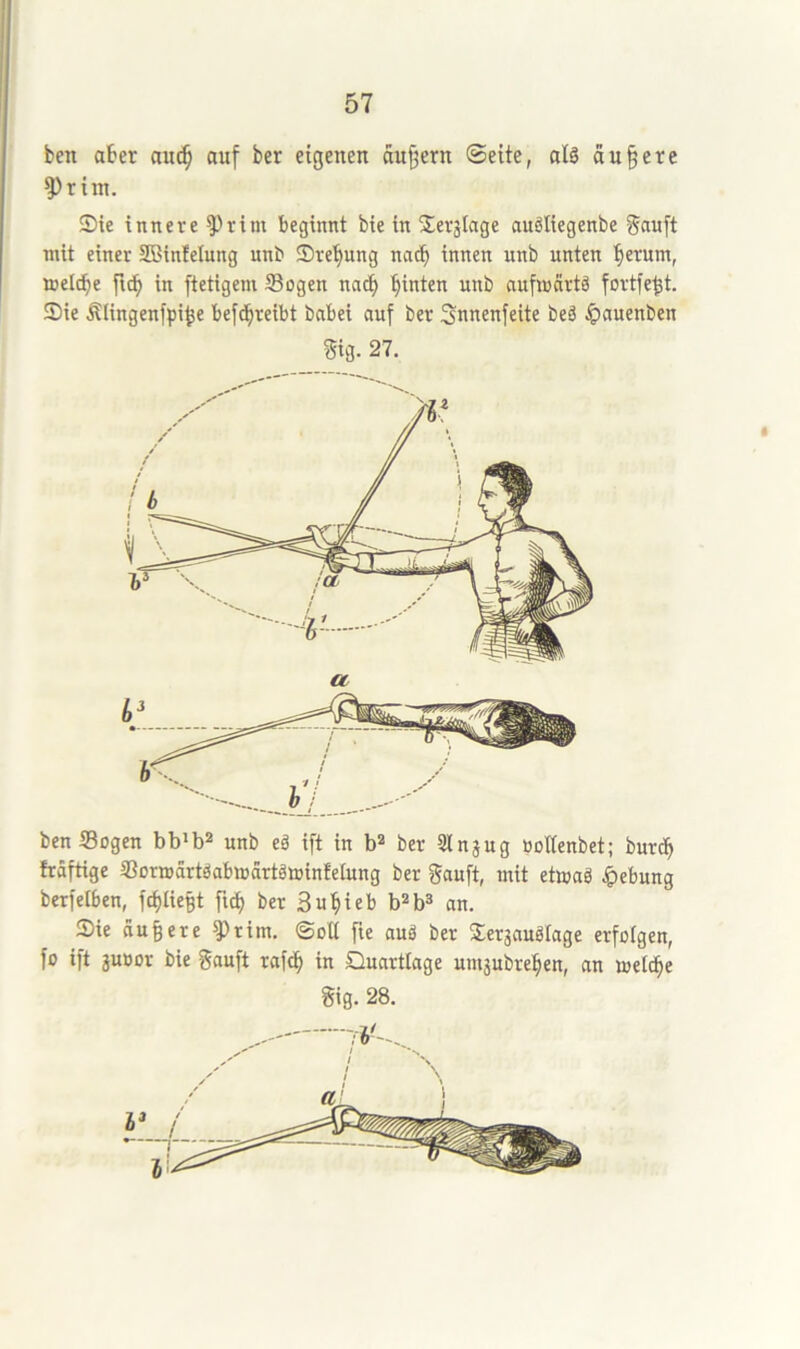 ben ater au(^ auf ber eigenen äußern Seite, alä äußere ^riin. Sie innere *3)rim beginnt bie in Serginge auöliegenbe ^auft mit einer SBinfelung unb Sret)ung natt innen unb unten t«rum, meicte ftc^ in ftetigem Sogen nact hinten unb aufmcirtä fortfe^t. Sie Älingenfpi^e befd^reibt babei auf ber Snnenfeite beä ^auenben Sig. 27. ben Sogen bb^b^ unb eä ift in b® ber Slnjug ooKenbet; burdt frdftige SormartOabmdrtdteinfeiung ber gauft, mit etujaä ^)ebung berfelben, fctlieBt ber Bu^iet b*b* an. Sie öu^ere ^rim. ©oU fie auä ber Sersauglage erfolgen, fo ift juüor bie gauft rafct in Quartlage uniäubreten, an meiere Sig. 28.
