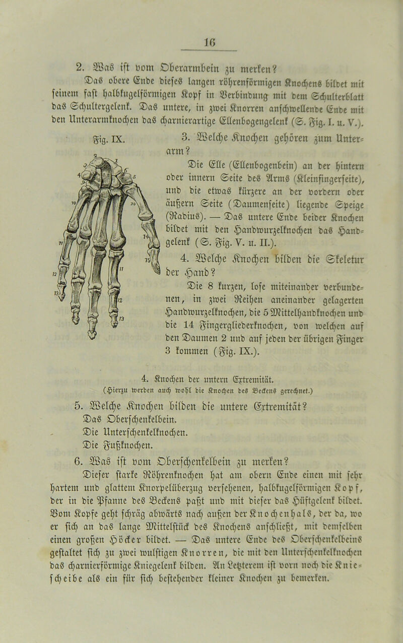 2. SBaÖ ift bont Oberarmbein ju merfen? obere (ürnbe biefe« langen röhrenförmigen ftnodien« bilbet mit feinem faft balbfugelförmigen Kopf in SJerbinbung mit bem (Schulterblatt baß ©djultergelenf. Oa« untere, in jmei Knorren anfdjmellenbe (2nbe mit bcn Unterarmfnodjen ba« dbarnierartige (Süeubogengelenf (©. gig. I. u. v.j. 3. SBeldje Knochen gehören 311m Untere arm ? Oie (Süe ((SUenbogenbein) an ber hintern ober innern ©eite be« 2Irm« (Kleinfingerfeite), unb bie ettoa« füi^ere an ber oorbern ober äußern ©eite (Oaumenfeite) Itegenbe ©peige (9tabiu«). — Oa« untere @nbe betber Knochen bitbet mit ben ^panbrourjelfnocben ba« §anb= getenf (©. gig. V. u. II.). 4. Sßeld^e Knochen btlbeit bie ©feletur ber öpanb? Oie 8 furjeit, lofe miteinanber »erbunbe= nen, in jtoei Reiben aneinanber gelagerten §anbtnurjelf'nod)en, bie öSJtittelbanbfnochen unb bie 14 gingerglieberfnocben, non toelcben auf ben Oaumen 2 unb auf jeben ber übrigen ginger 3 fontmen (gig. IX.). 4. Knochen ber untern (Sjtremität. (§ievju Werben aucfy Wolpt bie Sbitotfyeit be§ SBecfenS geregnet.) 5. SBelcbe Knochen bifben bie untere (Srtremität? Oa« DberfdjenWbein. Oie UnterfcbenMfnodfen. Oie gußfnodfen. 6. SßaS ift bom OBerfd)enfef6ein 31t merfen? Oiefer ftarfe fftöbrenfnodfen bat am obern (Snbe einen mit fe^r hartem unb glattem Knorpelüber3ug »erfebenen, balbfugelförmigen Kopf, ber in bie fßfanne be« 23etfen« paßt unb mit biefer baß £>üftgelenf bitbet. S5om Kopfe gebt fdjräg abmärt« nad) außen ber Knodbenbatß, ber ba, mo er fid) an ba« lange SDtittelftiicf be« Knod)eit« anfdfließt, mit bemfelben einen großen Dörfer bilbet. — Oaß untere Grnbe be« Dberfdjenfelbein« geftaltet fid) ju jmet toulftigen Knorren, bie mit ben Uitterftbenfelfnodjen ba« dfarnierförmige Kniegelenf bilben. 5In Se^terent ift born uodi bie Kitic^ fd^eibe alö ein für ftd? beftebenber Heiner Knochen 31t bemerfen. Sifl. IX.