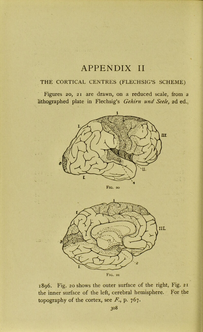 THE CORTICAL CENTRES (FLECHSIG’S SCHEME) Figures 20, 21 are drawn, on a reduced scale, from a lithographed plate in Flechsig’s Gehirn und Seele, 2d ed., 1 Fig. 21 1896. Fig. 20 shows the outer surface of the right, Fig. 21 the inner surface of the left, cerebral hemisphere. For the topography of the cortex, see F.} p. 767.