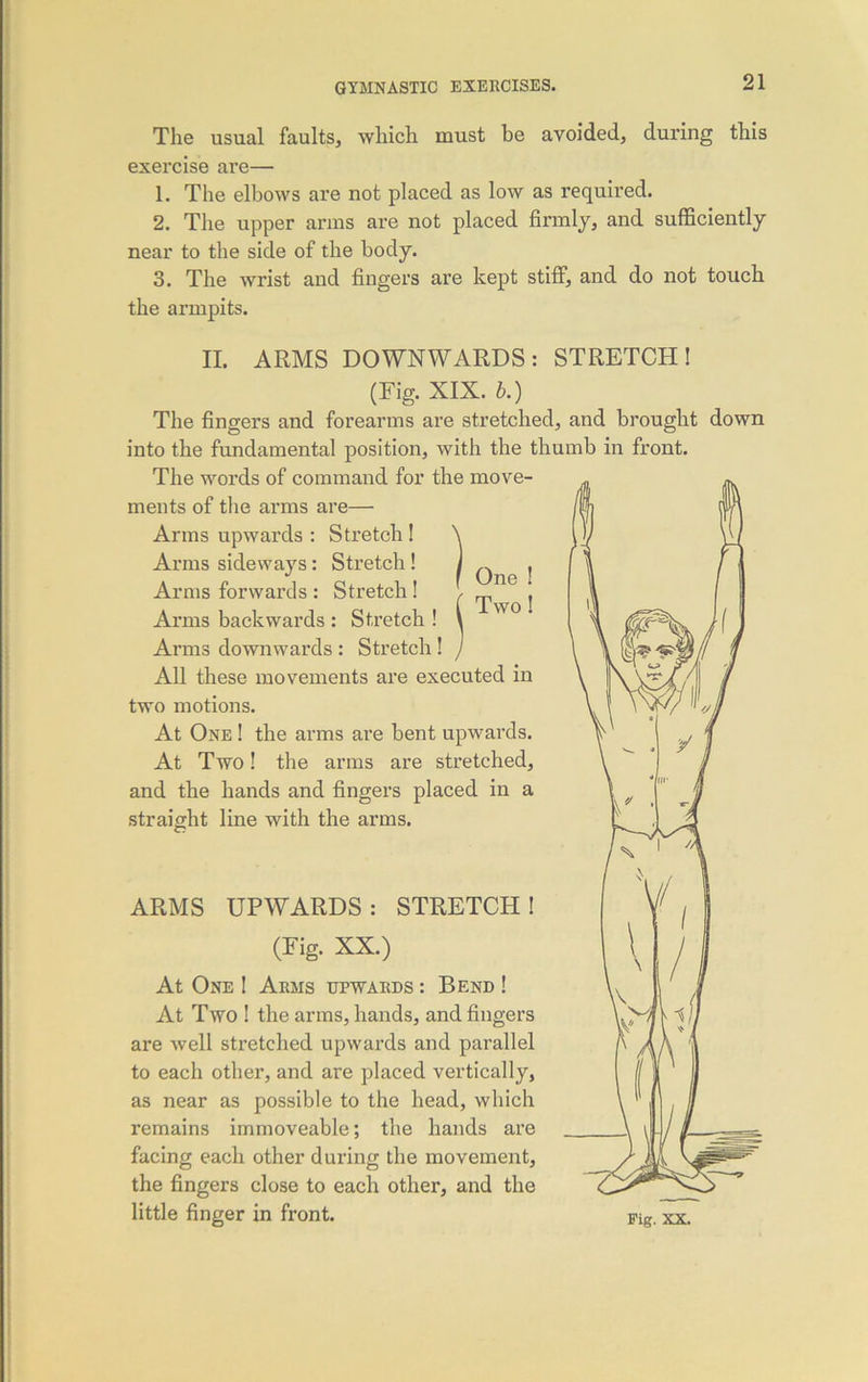 The usual faults, which must be avoided, during this exercise are— 1. The elbows are not placed as low as requii’ed. 2. The upper arms are not placed firmly, and sufficiently near to the side of the body. 3. The wrist and fingers are kept stiff, and do not touch the armpits. II. STRETCH! One ! Two! ARMS DOWNWARDS (Fig. XIX. b.) The fingers and forearms are stretched, and brought down into the fundamental position, with the thumb in front. The words of command for the move- ments of the arms are— Arms upwards : Stretch ! \ Arms sideways : Stretch ! Arms forwards : Stretch ! Arms backwards : Stretch ! Arms downwards : Stretch ! J All these movements are executed in two motions. At One ! the arms are bent upwards. At Two! the arms are stretched, and the hands and fingers placed in a straight line with the arms. ARMS UPWARDS: STRETCH! (Fig. XX.) At One ! Arms upwards : Bend ! At Two ! the arms, hands, and fingers are well stretched upwards and parallel to each other, and are placed vertically, as near as possible to the head, which remains immoveable; the hands are facing each other during the movement, the fingers close to each other, and the little finger in front.