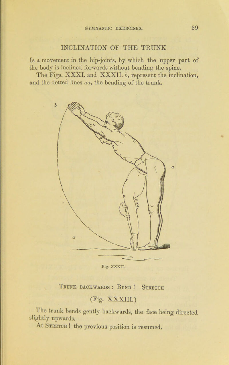 INCLINATION OF THE TRUNK Is a movement in the hip-joints, by which the upper part of the body is inclined forwards without bending the spine. The Figs. XXXI. and XXXII. b, represent the inclination, and the dotted lines aa, the bending of the trunk. Trunk backwards : Bend ! Stretch (Fig. XXXIII.) The trunk bends gently backwards, the face being directed slightly upwards. At SiRETcn ! the previous position is resumed.