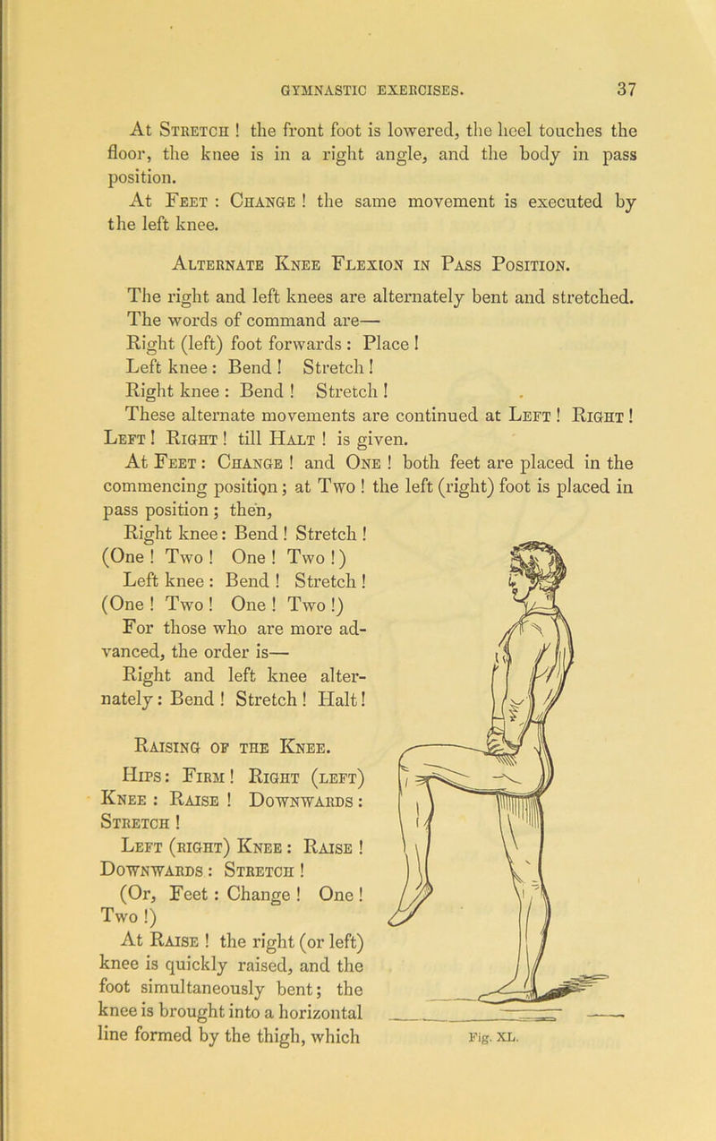 At Stretch ! the front foot is lowered, the heel touches the floor, the knee is in a right angle, and the body in pass position. At Feet : Change ! the same movement is executed by the left knee. Alternate Knee Flexion in Pass Position. The right and left knees are alternately bent and stretched. The words of command are— Right (left) foot forwards : Place I Left knee : Bend ! Stretch ! Right knee : Bend ! Stretch ! These alternate movements are continued at Left ! Right ! Left ! Right ! till Halt ! is given. At Feet : Change ! and One ! both feet are placed in the commencing position; at Two ! the left (right) foot is placed in pass position; then. Right knee: Bend ! Stretch ! (One! Two! One! Two!) Left knee : Bend ! Stretch ! (One ! Two ! One ! Two !) For those who are more ad- vanced, the order is— Right and left knee alter- nately : Bend ! Stretch ! Plait! Raising of the Knee. Hips: Firm! Right (left) Knee : Raise ! Downwards : Stretch ! Left (right) Knee : Raise ! Downwards : Stretch ! (Or, Feet: Change ! One ! Two !) At Raise ! the right (or left) knee is quickly raised, and the foot simultaneously bent; the knee is brought into a horizontal line formed by the thigh, which Fig. XL.