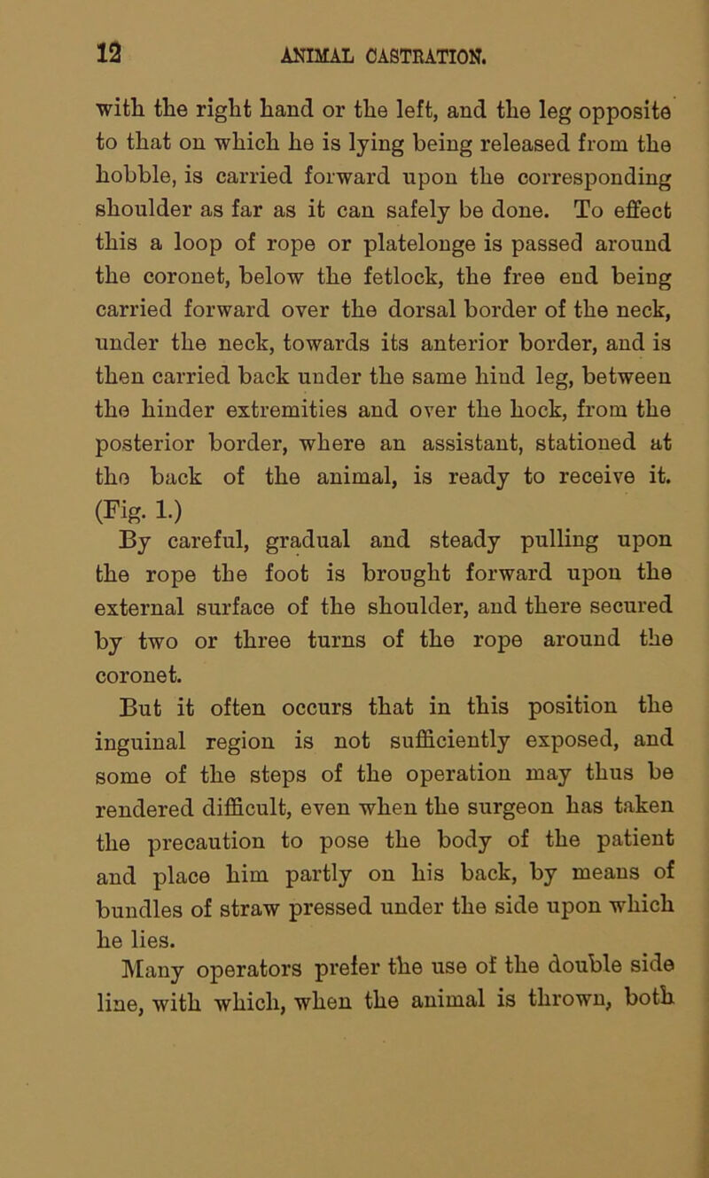 with the right hand or the left, and the leg opposite to that on which he is lying being released from the hobble, is carried forward upon the corresponding shoulder as far as it can safely be done. To effect this a loop of rope or platelonge is passed around the coronet, below the fetlock, the free end being carried forward over the dorsal border of the neck, under the neck, towards its anterior border, and is then carried back under the same hind leg, between the hinder extremities and over the hock, from the posterior border, where an assistant, stationed at the back of the animal, is ready to receive it. (Fig. 1.) By careful, gradual and steady pulling upon the rope the foot is brought forward upon the external surface of the shoulder, and there secured by two or three turns of the rope around the coronet. But it often occurs that in this position the inguinal region is not sufficiently exposed, and some of the steps of the operation may thus be rendered difficult, even when the surgeon has taken the precaution to pose the body of the patient and place him partly on his back, by means of bundles of straw pressed under the side upon which he lies. Many operators prefer the use of the double side line, with which, when the animal is thrown, both