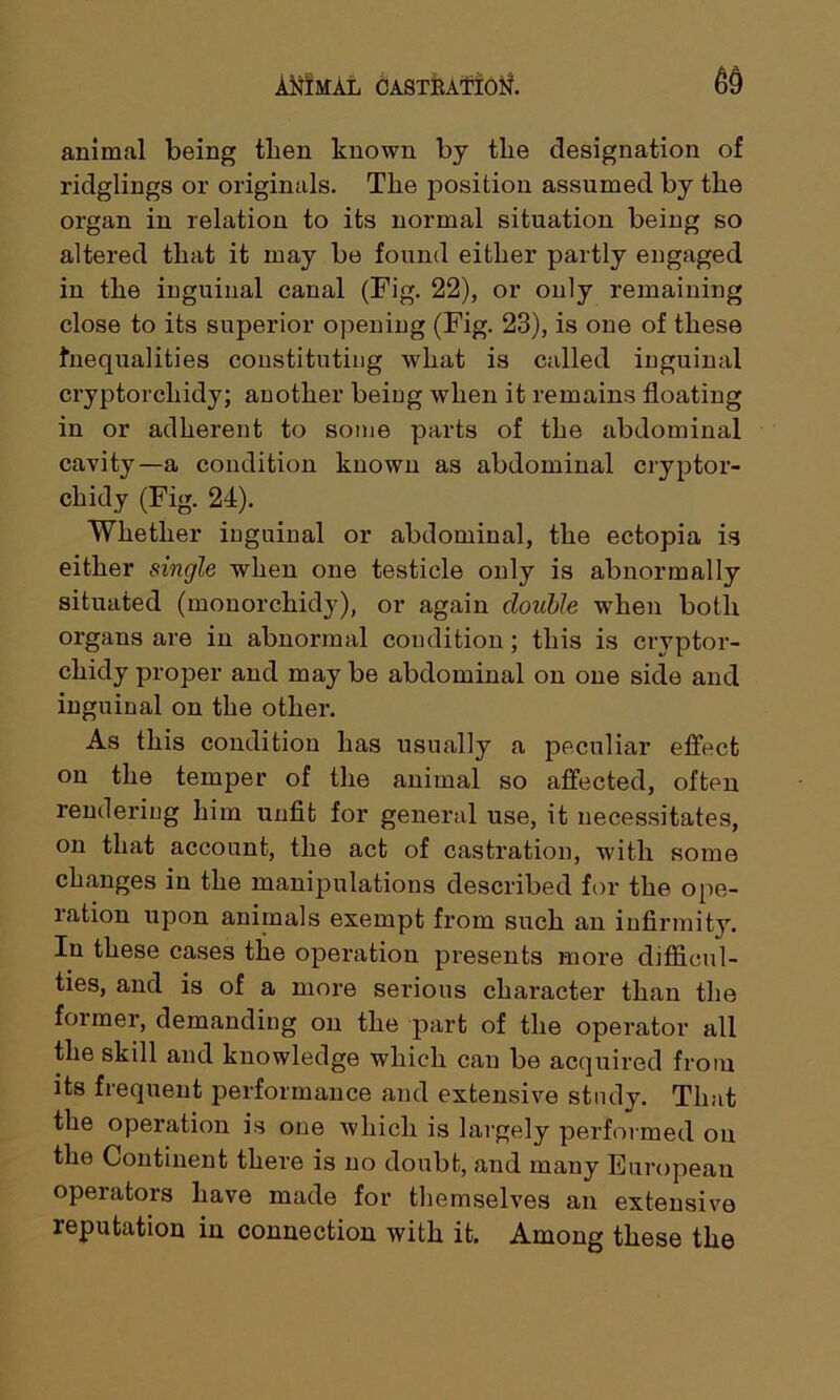 animal being then known by the designation of ridglings or originals. The position assumed by the organ in relation to its normal situation being so altered that it may be found either partly engaged in the inguinal canal (Fig. 22), or only remaining close to its superior opening (Fig. 23), is one of these inequalities constituting what is called inguinal cryptorchidy; another being when it remains floating in or adherent to some parts of the abdominal cavity—a condition known as abdominal cryptor- chidy (Fig. 24). Whether inguinal or abdominal, the ectopia is either single when one testicle only is abnormally situated (monorchidy), or again double when both organs are in abnormal condition; this is crvptor- chidy proper and may be abdominal on one side and inguinal on the other. As this condition has usually a peculiar effect on the temper of the animal so affected, often rendering him unfit for general use, it necessitates, on that account, the act of castration, with some changes in the manipulations described for the ope- lation upon animals exempt from such an infirmity. In these cases the operation presents more difficul- ties, and is of a more serious character than the former, demanding on the part of the operator all the skill and knowledge which can be acquired from its frequent performance and extensive study. That the operation is one which is largely performed on the Continent there is no doubt, and many European operators have made for themselves an extensive reputation in connection with it. Among these the