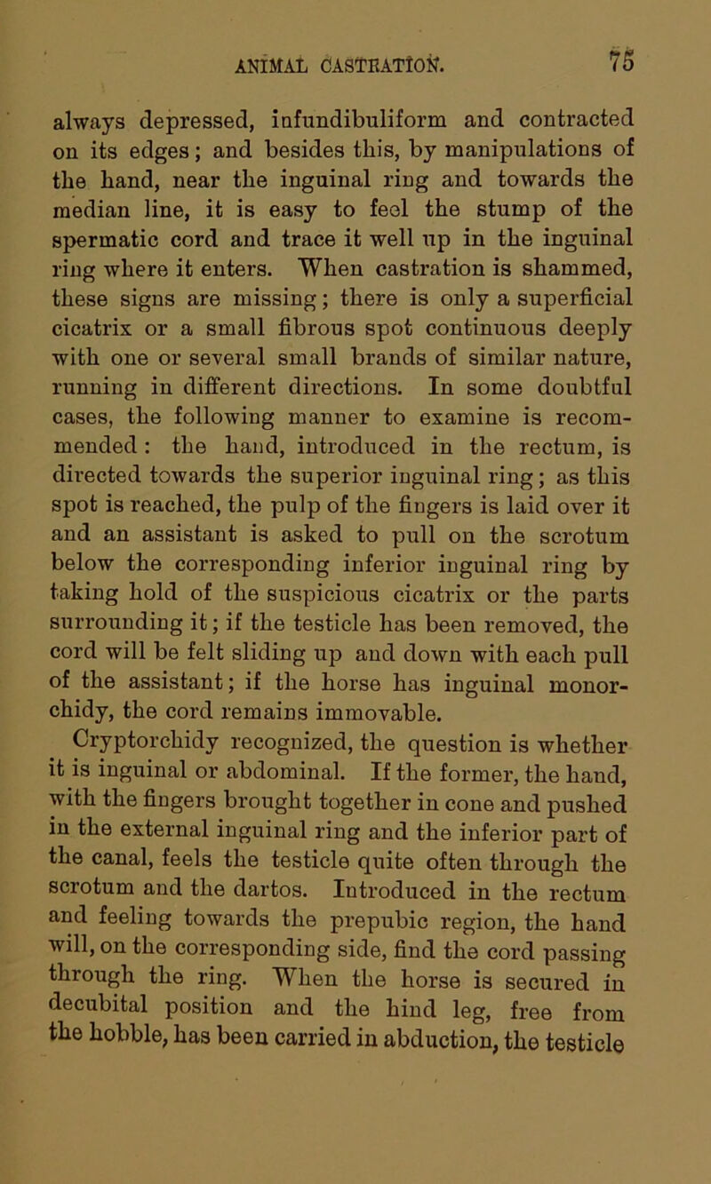 always depressed, infundibuliform and contracted on its edges; and besides this, by manipulations of the hand, near the inguinal ring and towards the median line, it is easy to feel the stump of the spermatic cord and trace it well up in the inguinal ring where it enters. When castration is shammed, these signs are missing; there is only a superficial cicatrix or a small fibrous spot continuous deeply with one or several small brands of similar nature, running in different directions. In some doubtful cases, the following manner to examine is recom- mended : the hand, introduced in the rectum, is directed towards the superior inguinal ring; as this spot is reached, the pulp of the fingers is laid over it and an assistant is asked to pull on the scrotum below the corresponding inferior inguinal ring by taking hold of the suspicious cicatrix or the parts surrounding it; if the testicle has been removed, the cord will be felt sliding up and down with each pull of the assistant; if the horse has inguinal monor- chidy, the cord remains immovable. Cryptorchidy recognized, the question is whether it is inguinal or abdominal. If the former, the hand, with the fingers brought together in cone and pushed in the external inguinal ring and the inferior part of the canal, feels the testicle quite often through the scrotum and the dartos. Introduced in the rectum and feeling towards the prepubic region, the hand will, on the corresponding side, find the cord passing through the ring. When the horse is secured in decubital position and the hind leg, free from the hobble, has been carried in abduction, the testicle