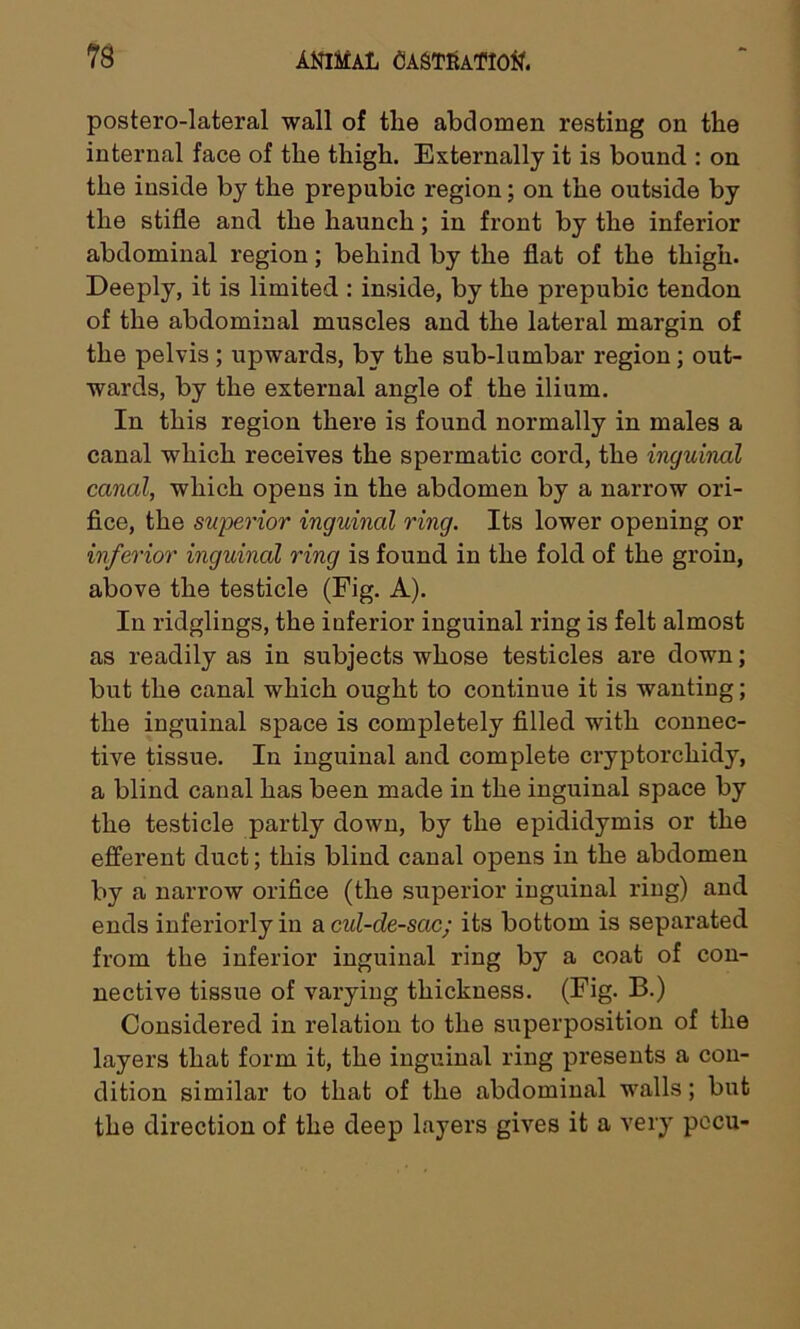 postero-lateral wall of the abdomen resting on the internal face of the thigh. Externally it is bound : on the inside by the prepubic region; on the outside by the stifle and the haunch; in front by the inferior abdominal region; behind by the flat of the thigh. Deeply, it is limited : inside, by the prepubic tendon of the abdominal muscles and the lateral margin of the pelvis; upwards, by the sub-lumbar region; out- wards, by the external angle of the ilium. In this region there is found normally in males a canal which receives the spermatic cord, the inguinal canal, which opens in the abdomen by a narrow ori- fice, the superior inguinal ring. Its lower opening or inferior inguinal ring is found in the fold of the groin, above the testicle (Fig. A). In ridglings, the inferior inguinal ring is felt almost as readily as in subjects whose testicles are down; but the canal which ought to continue it is wanting; the inguinal space is completely filled with connec- tive tissue. In inguinal and complete cryptorchidy, a blind canal has been made in the inguinal space by the testicle partly down, by the epididymis or the efferent duct; this blind canal opens in the abdomen by a narrow orifice (the superior inguinal ring) and ends inferiorly in a cul-de-sac; its bottom is separated from the inferior inguinal ring by a coat of con- nective tissue of varying thickness. (Fig. B.) Considered in relation to the superposition of the layers that form it, the inguinal ring presents a con- dition similar to that of the abdominal walls; but the direction of the deep layers gives it a very pccu-