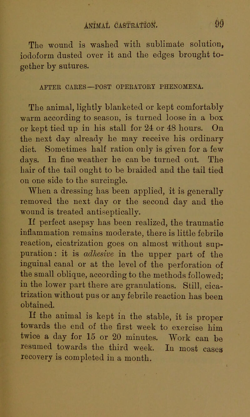 The wound is washed with sublimate solution, iodoform dusted over it and the edges brought to- gether by sutures. AFTER CARES—POST OPERA.TORY PHENOMENA. The animal, lightly blanketed or kept comfortably warm according to season, is turned loose in a box or kept tied up in his stall for 24 or 48 hours. On the next day already he may receive his ordinary diet. Sometimes half ration only is given for a few days. In fine weather he can be turned out. The hair of the tail ought to be braided and the tail tied on one side to the surcingle. When a dressing has been applied, it is generally removed the next day or the second day and the wound is treated antiseptically. If perfect asepsy has been realized, the traumatic inflammation remains moderate, there is little febrile reaction, cicatrization goes on almost without sup- puration : it is adhesive in the upper part of the inguinal canal or at the level of the perforation of the small oblique, according to the methods followed; in the lower part there are granulations. Still, cica- trization without pus or any febrile reaction has been obtained. If the animal is kept in the stable, it is proper towards the end of the first week to exercise him twice a day for 15 or 20 minutes. Work can be resumed towards the third week. In most cases recovery is completed in a month.