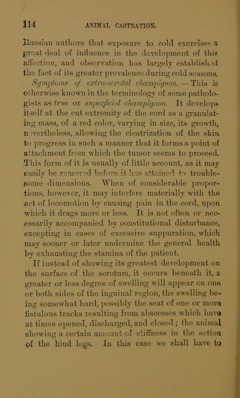 Russian authors that exposure to cold exercises a great deal of influence in the development of this affection, and observation has largely established the fact of its greater prevalence during cold seasons. Symptoms oj extra-scrotal champignon. — This is otherwise known in the terminology of some patholo- gists as true or superficial champignon. It develops itself at the cut extremity of the cord as a granulat- ing mass, of a red color, varying in size, its growth, n evertheless, allowing the cicatrization of the skin to progress in such a manner that it forms a point of attachment from which the tumor seems to proceed. This form of it is usually of little account, as it may easily be removed before it lias attained to trouble- some dimensions. When of considerable propor- tions, however, it may interfere materially with the act of locomotion by causing pain in the cord, upon which it drags more or less. It is not often or nec- essarily accompanied by constitutional disturbance, excepting in cases of excessive suppuration, which may sooner or later undermine the general health by exhausting the stamina of the patient. If instead of showing its greatest development on the surface of the scrotum, it occurs beneath it, a greater or less degree of swelling will appear on one or both sides of the inguinal region, the'swelling be- ing somewhat hard, possibly the seat of one or more fistulous tracks resulting from abscesses which have at times opened, discharged, and closed ; the animal showing a certain amount of stiffness in the actiou Qf the hind legs. In this case we shall have to