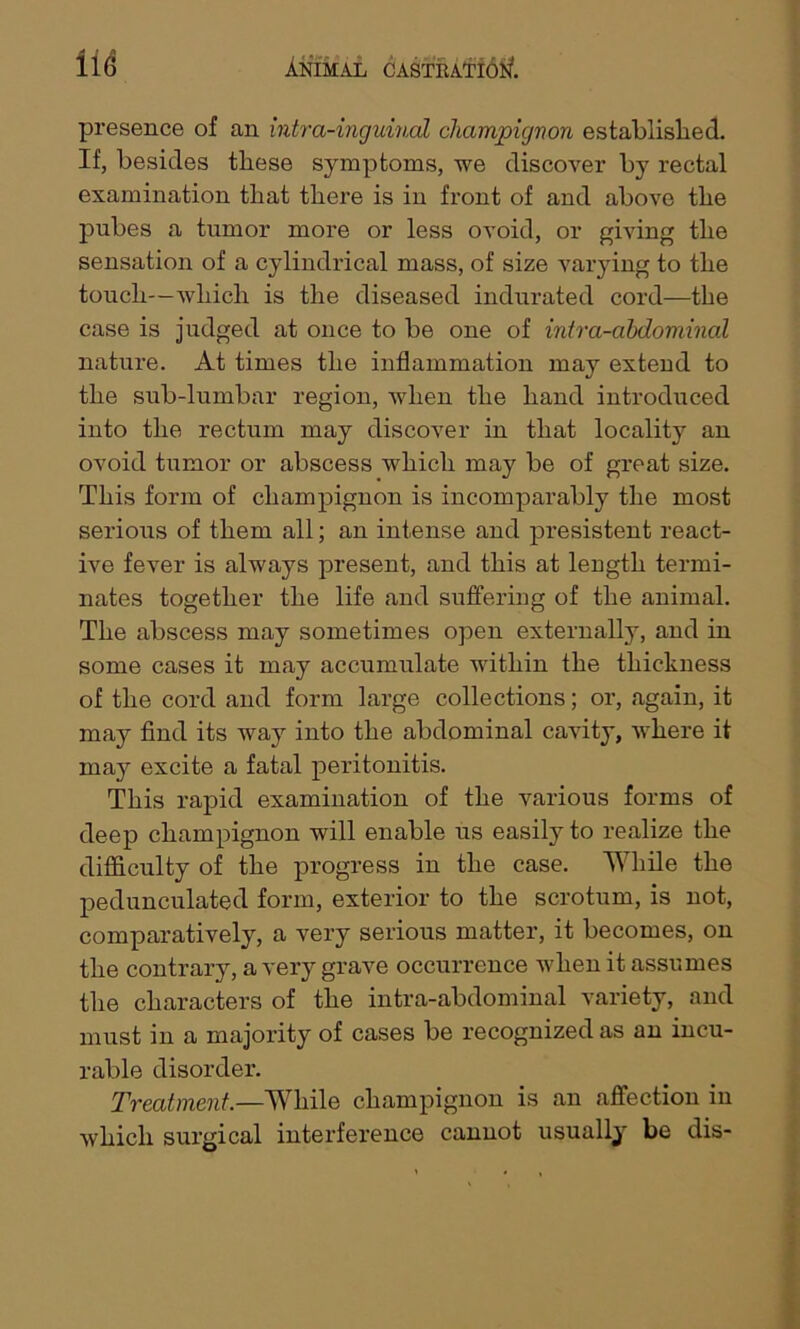 presence of an intra-inguincd champignon established. If, besides these symptoms, we discover by rectal examination that there is in front of and above the pubes a tumor more or less ovoid, or giving the sensation of a cylindrical mass, of size varying to the touch—which is the diseased indurated cord—the case is judged at once to be one of intra-abdomincd nature. At times the inflammation may extend to the sub-lumbar region, when the hand introduced into the rectum may discover in that locality an ovoid tumor or abscess which may be of great size. This form of champignon is incomparably the most serious of them all; an intense and presistent react- ive fever is always present, and this at length termi- nates together the life and suffering of the animal. The abscess may sometimes open externally, and in some cases it may accumulate within the thickness of the cord and form large collections; or, again, it may find its way into the abdominal cavity, where it may excite a fatal peritonitis. This rapid examination of the various forms of deep champignon will enable us easily to realize the difficulty of the progress in the case. While the pedunculated form, exterior to the scrotum, is not, comparatively, a very serious matter, it becomes, on the contrary, a very grave occurrence when it assumes the characters of the intra-abdominal variety, and must in a majority of cases be recognized as an incu- rable disorder. Treatment.—While champignon is an affection in which surgical interference cannot usually be dis-