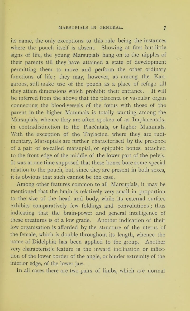 its name, the only exceptions to this rule being the instances where the pouch itself is absent. Showing at first but little signs of life, the young Marsupials hang on to the nipples of their parents till they have attained a state of development permitting them to move and perform the other ordinary functions of life; they may, however, as among the Kan- garoos, still make use of the pouch as a place of refuge till they attain dimensions which prohibit their entrance. It will be inferred from the above that the placenta or vascular organ connecting the blood-vessels of the foetus with those of the parent in the higher Mammals is totally wanting among the Marsupials, whence they are often spoken of as Implacentals, in contradistinction to the PlacSntals, or higher Mammals. With the exception of the Thylacine, where they are rudi- mentary, Marsupials are further characterised by the presence of a pair of so-called marsupial, or epipubic bones, attached to the front edge of the middle of the lower part of the pelvis. It was at one time supposed that these bones bore some special relation to the pouch, but, since they are present in both sexes, it is obvious that such cannot be the case. Among other features common to all Marsupials, it may be mentioned that the brain is relatively very small in proportion to the size of the head and body, while its external surface exhibits comparatively few foldings and convolutions ; thus indicating that the brain-power and general intelligence of these creatures is of a low grade. Another indication of their low organisation is afforded by the structure of the uterus of the female, which is double throughout its length, whence the name of Didelphia has been applied to the group. Another very characteristic feature is the inward inclination or inflec- tion of the lower border of the angle, or hinder extremity of the inferior edge, of the lower jaw. In all cases there are two pairs of limbs, which are normal