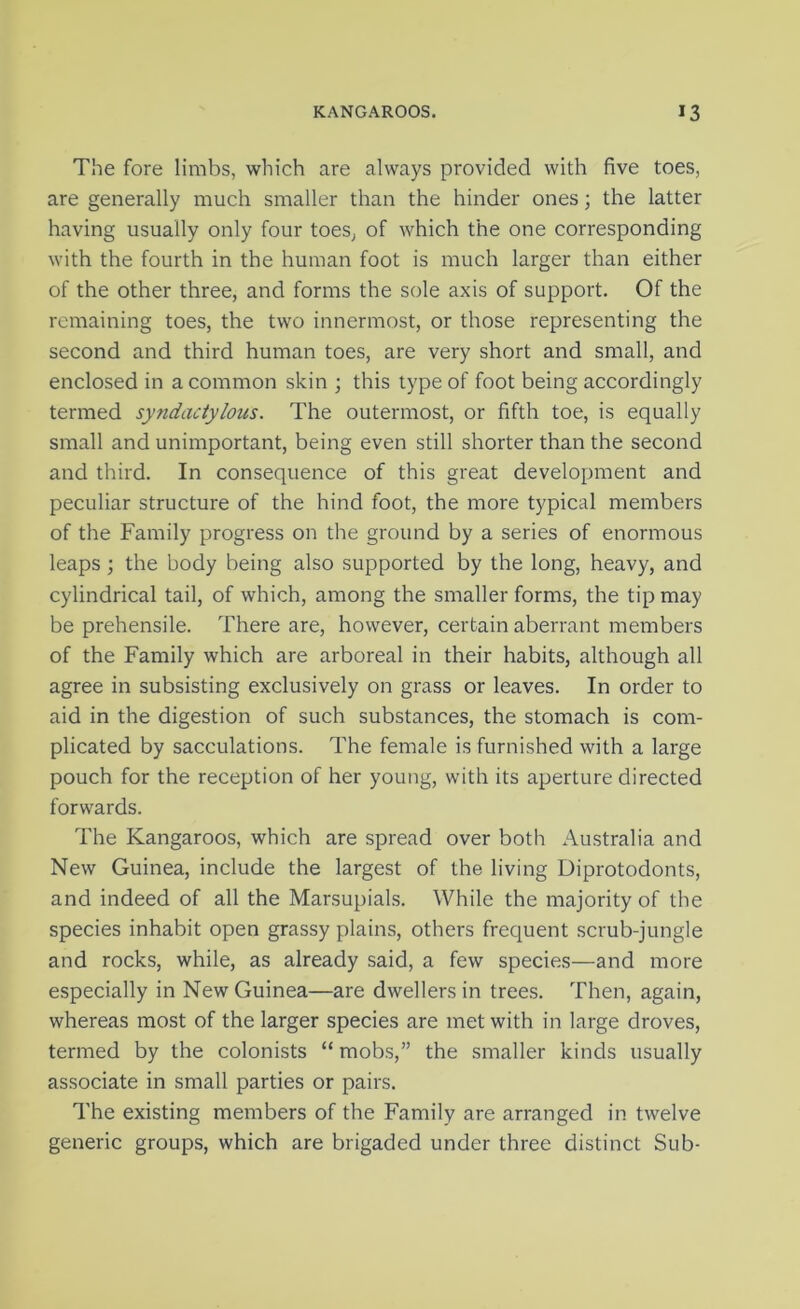 The fore limbs, which are always provided with five toes, are generally much smaller than the hinder ones; the latter having usually only four toes, of which the one corresponding with the fourth in the human foot is much larger than either of the other three, and forms the sole axis of support. Of the remaining toes, the two innermost, or those representing the second and third human toes, are very short and small, and enclosed in a common skin ; this type of foot being accordingly termed syndaciylous. The outermost, or fifth toe, is equally small and unimportant, being even still shorter than the second and third. In consequence of this great development and peculiar structure of the hind foot, the more typical members of the Family progress on the ground by a series of enormous leaps; the body being also supported by the long, heavy, and cylindrical tail, of which, among the smaller forms, the tip may be prehensile. There are, however, certain aberrant members of the Family which are arboreal in their habits, although all agree in subsisting exclusively on grass or leaves. In order to aid in the digestion of such substances, the stomach is com- plicated by sacculations. The female is furnished with a large pouch for the reception of her young, with its aperture directed forwards. The Kangaroos, which are spread over both Australia and New Guinea, include the largest of the living Diprotodonts, and indeed of all the Marsupials. While the majority of the species inhabit open grassy plains, others frequent scrub-jungle and rocks, while, as already said, a few species—and more especially in New Guinea—are dwellers in trees. Then, again, whereas most of the larger species are met with in large droves, termed by the colonists “ mobs,” the smaller kinds usually associate in small parties or pairs. The existing members of the Family are arranged in twelve generic groups, which are brigaded under three distinct Sub-