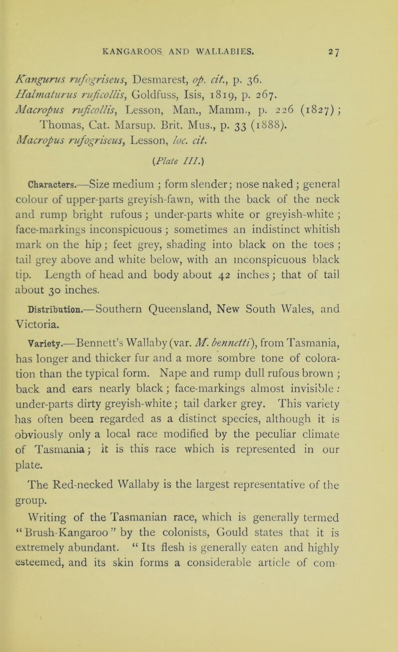 Kangiirus ruf'griseus, Desmarest, op. cit, p. 36. Ilalmatunis ruficollis., Goldfuss, Isis, 1819, p. 267. Macropus ruficollis, Lesson, Man., Mamin., p. 226 (1827); Thomas, Cat. Marsup. Brit. Mus., p. 33 (1888). Macropus rufogriseus, Lesson, loc. cit. (Plate III.) Characters.—Size medium ; form slender; nose naked ; general colour of upper-parts greyish-fawn, with the back of the neck and rump bright rufous; under-parts white or greyish-white ; face-markings inconspicuous ; sometimes an indistinct whitish mark on the hip; feet grey, shading into black on the toes ; tail grey above and white below, with an inconspicuous black tip. Length of head and body about 42 inches; that of tail about 30 inches. Distribution.—Southern Queensland, New South Wales, and Victoria. Variety.—Bennett’s Wallaby (var. M. benndti), from Tasmania, has longer and thicker fur and a more sombre tone of colora- tion than the typical form. Nape and rump dull rufous brown ; back and ears nearly black; face-markings almost invisible : under-parts dirty greyish-white; tail darker grey. This variety has often been regarded as a distinct species, although it is obviously only a local race modified by the peculiar climate of Tasmania; it is this race which is represented in our plate. The Red-necked Wallaby is the largest representative of the group. Writing of the Tasmanian race, which is generally termed “ Brush-Kangaroo ” by the colonists, Gould states that it is extremely abundant. “ Its flesh is generally eaten and highly esteemed, and its skin forms a considerable article of com