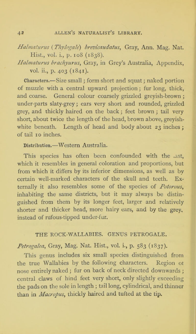 Hahnaturus (Thylogak) brevicaudatus. Gray, Ann. Mag. Nat. Hist., vol. i., p. io8 (1838). Hahnaturus brachyurus, Gray, in Grey’s Australia, Appendix, vol. ii., p. 403 (1841). Characters.—Size small; form short and squat; naked portion of muzzle with a central upward projection; fur long, thick, and coarse. General colour coarsely grizzled greyish-brown ; under-parts slaty-grey; ears very short and rounded, grizzled grey, and thickly haired on the back; feet brown ; tail very short, about twice the length of the head, brown above, greyish- white beneath. Length of head and body about 23 inches ; of tail 10 inches. Distribution.—Western Australia. This species has often been confounded with the .ast, which it resembles in general coloration and proportions, but from which it differs by its inferior dimensions, as well as by certain well-marked characters of the skull and teeth. Ex- ternally it also resembles some of the species of Fotorous, inhabiting the same districts, but it may always be distin- guished from them by its longer feet, larger and relatively shorter and thicker head, more hairy ears, and by the grey, instead of rufous-tipped under-fur. THE ROCK-WALLABIES. GENUS PETROGALE. Fetrogalea, Gray, Mag. Nat. Hist., vol. i., p. 583 (1837). This genus includes six small species distinguished from the true Wallabies by the following characters. Region ot nose entirely naked; fur on back of neck directed downwards ; central claws of hind feet very short, only slightly exceeding the pads on the sole in length ; tail long, cylindrical, and thinner than in Macropus, thickly haired and tufted at the tip.