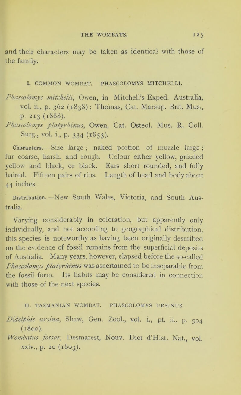 and their characters may be taken as identical with those of the family. I. COMMON WOMBAT. PHASCOI.OMYS MITCH ELLI. Phascolomys mitchelli^ Owen, in Mitchell’s Exped. Australia, vol. ii., p. 362 (1838); Thomas, Cat. Marsup. Brit. Mus., p. 213 (1888). Phascolomys platyrhimis, Owen, Cat. Osteol. Mus. R. Coll. Surg., vol. i., p. 334 (1853). Characters.—Size large ; naked portion of muzzle large j fur coarse, harsh, and rough. Colour either yellow, grizzled yellow and black, or black. Ears short rounded, and fully haired. Fifteen pairs of ribs. Length of head and body about 44 inches. Distrihution. —New South Wales, Victoria, and South Aus- tralia. Varying considerably in coloration, but apparently only individually, and not according to geographical distribution, this species is noteworthy as having been originally described on the evidence of fossil remains from the superficial deposits of Australia. Many years, however, elapsed before the so-called Phascolomys platyrhinus was ascertained to be inseparable from the fossil form. Its habits may be considered in connection with those of the next species. II. TASMANIAN WOMBAT. PHASCOLOMYS URSINUS. Diddphis ttrsina, Shaw, Gen. Zool., vol. i., pt. ii., p. 504 (1800). Wombatus fossor, Desmarest, Nouv. Diet d’Hist. Nat., vol. xxiv., p. 20 (1803).