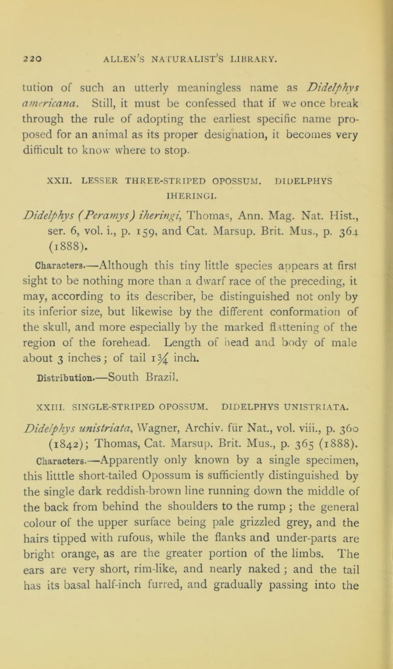 tiition of such an utterly meaningless name as Didelphys americana. Still, it must be confessed that if we once break through the rule of adopting the earliest specific name pro- posed for an animal as its proper designation, it becomes very difficult to know where to stop. XXII. LESSER THREE-STRIPED OPOSSUM. DIUELPHYS IHERINGI. Didelphys (Pe?-amys) theririgi, Thomas, Ann. Mag. Nat. Hist., ser. 6, vol. i., p. 159, and Cat. Marsup. Brit. Mus., p. 364 (1888). Characters—Although this tiny little species appears at first sight to be nothing more than a dwarf race of the preceding, it may, according to its describer, be distinguished not only by its inferior size, but likewise by the different conformation of the skull, and more especially by the marked flattening of the region of the forehead. Length of head and body of male about 3 inches; of tail i ^ inch. Distribution.—South Brazil. XXIII. SINGLE-STRIPED OPOSSUM. DIDELPHYS UNISTRLATA. Didelphys tmistriata, Wagner, Archiv. fiir Nat., vol. viii., p. 360 (1842); Thomas, Cat. Marsup. Brit. Mus., p. 365 (1888). Characters.—Apparently only known by a single specimen, this litttle short-tailed Opossum is sufficiently distinguished by the single dark reddish-brown line running down the middle of the back from behind the shoulders to the rump ; the general colour of the upper surface being pale grizzled grey, and the hairs tipped with rufous, while the flanks and under-parts are bright orange, as are the greater portion of the limbs. The ears are very short, rim-like, and nearly naked ; and the tail has its basal half-inch furred, and gradually passing into the