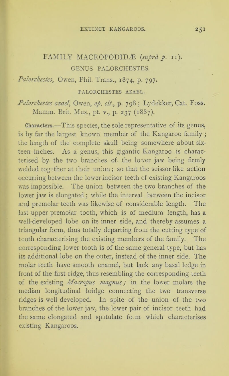 FAMILY MACROPODID^ {suj>ra p. ii). GENUS PALORCHESTES. Palorchestes, Owen, Phil. Trans., 1874, p. 797. PALORCHESTES AZAEL. Palorchestes azael, Owen, op. cit., p. 798; Lydekker, Cat. Foss. jNIamm. Brit. Mus., pt. v., p. 237 (1887). Characters.—This species, the sole representative of its genus, is by far the largest known member of the Kangaroo family ; the length of the complete skull being somewhere about six- teen inches. As a genus, this gigantic Kangaroo is charac- terised by the two branches of. the lower jaw being firmly welded together at iheir un'on ; so that the scissor-like action occurring between the lower incisor teeth of existing Kangaroos was impossible. The union between the two branches of the lower jaw is elongated; while the interval between the incisor and premolar teeth was likewise of considerable length. The last upper premolar tooth, which is of medium length, has a well-developed lobe on its inner side, and thereby assumes a triangular form, thus totally departing from the cutting type of tooth characterising the existing members of the family. The corresponding lower tooth is of the same general type, but has its additional lobe on the outer, instead of the inner side. The molar teeth have smooth enamel, but lack any basal ledge in front of the first ridge, thus resembling the corresponding teeth of the existing Macropus magnus; in the lower molars the median longitudinal bridge connecting the two transverse ridges is well developed. In spite of the union of the two branches of the lower jaw, the lower pair of incisor teeth had the same elongated and spatulate fo.m which characterises existing Kangaroos.